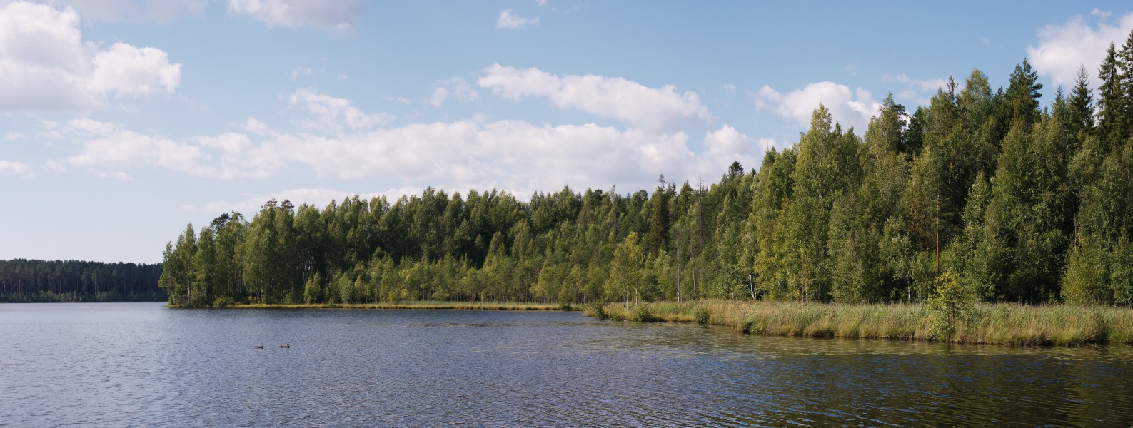 Shhuchie lake - Panoramic North