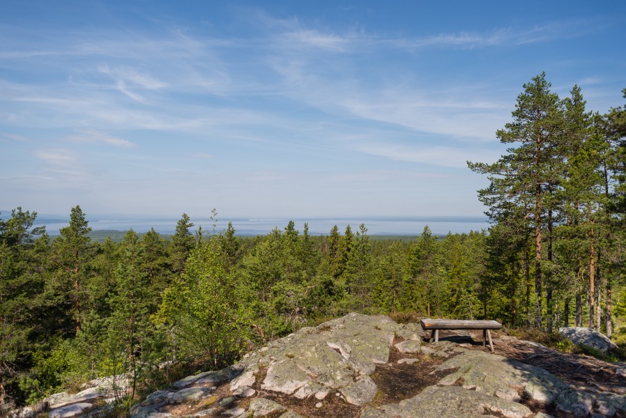 Siljansnäs naturreservat May 2018 01