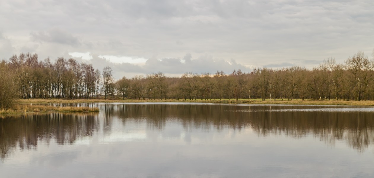 Uitzicht op poel. Locatie, natuurgebied Delleboersterheide – Catspoele 04