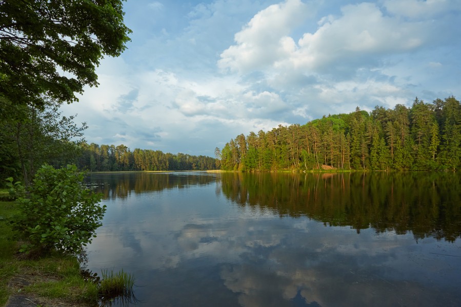 Verijärv 2014 06
