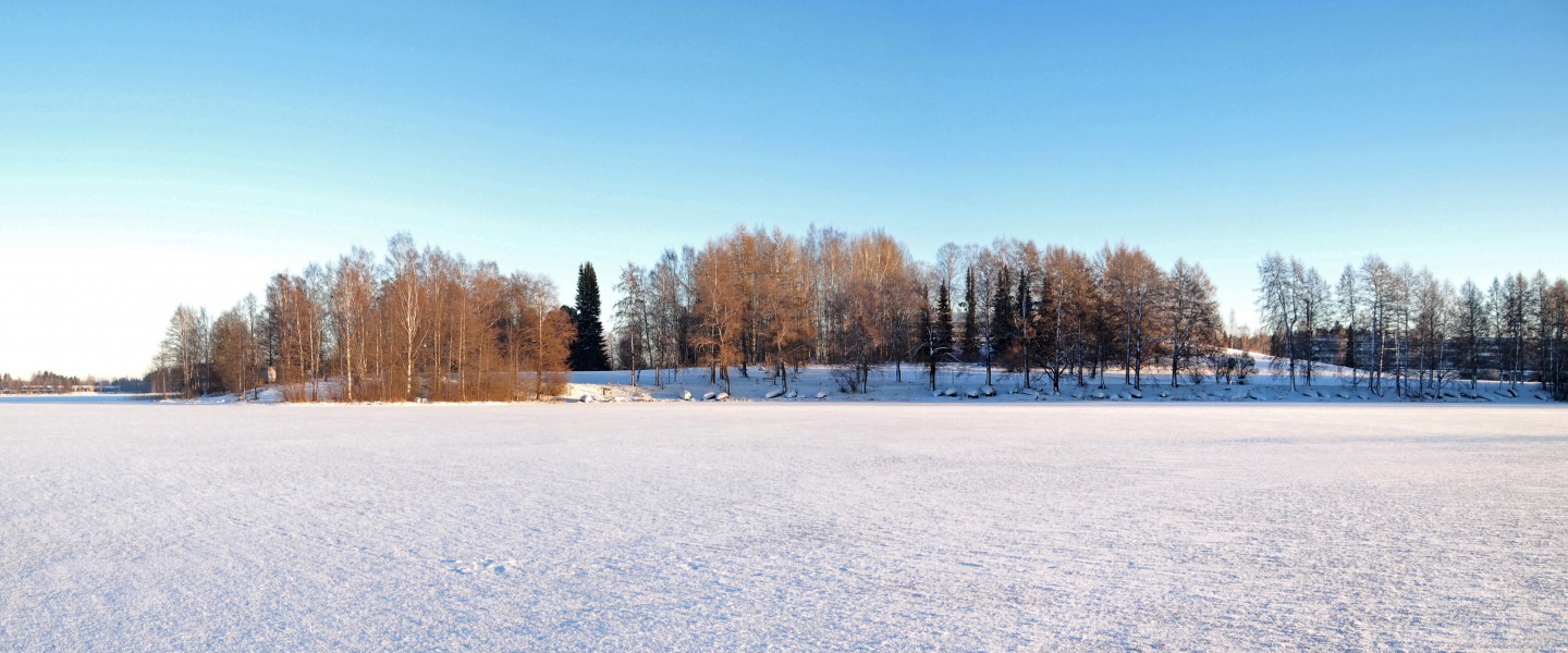 Viitaniemi 2
