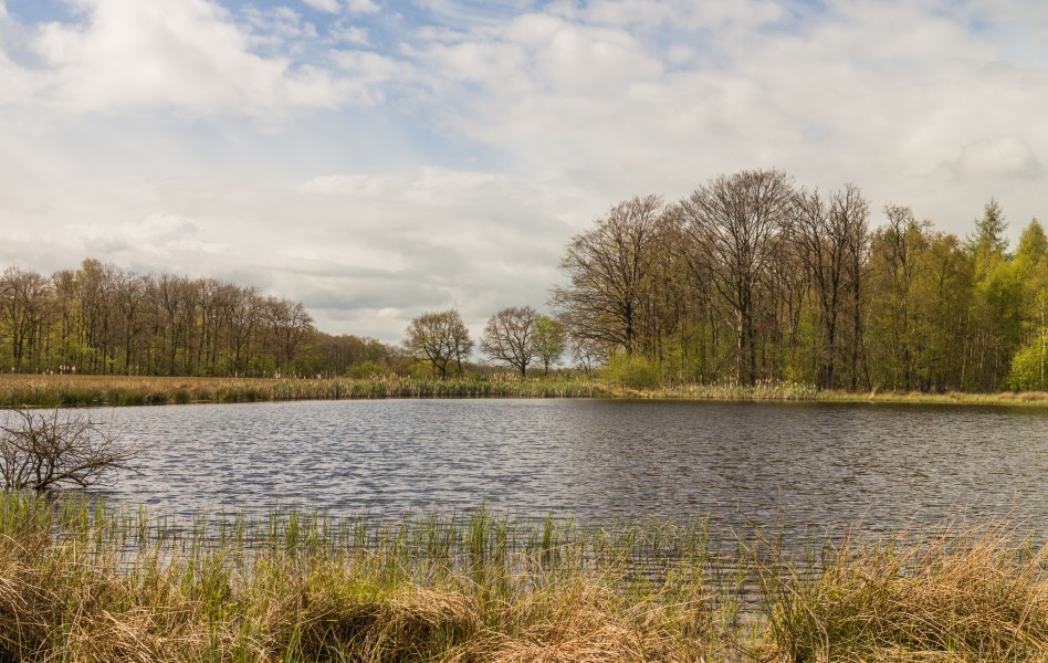 Wijnjeterper Schar, Natura 2000-gebied provincie Friesland 012