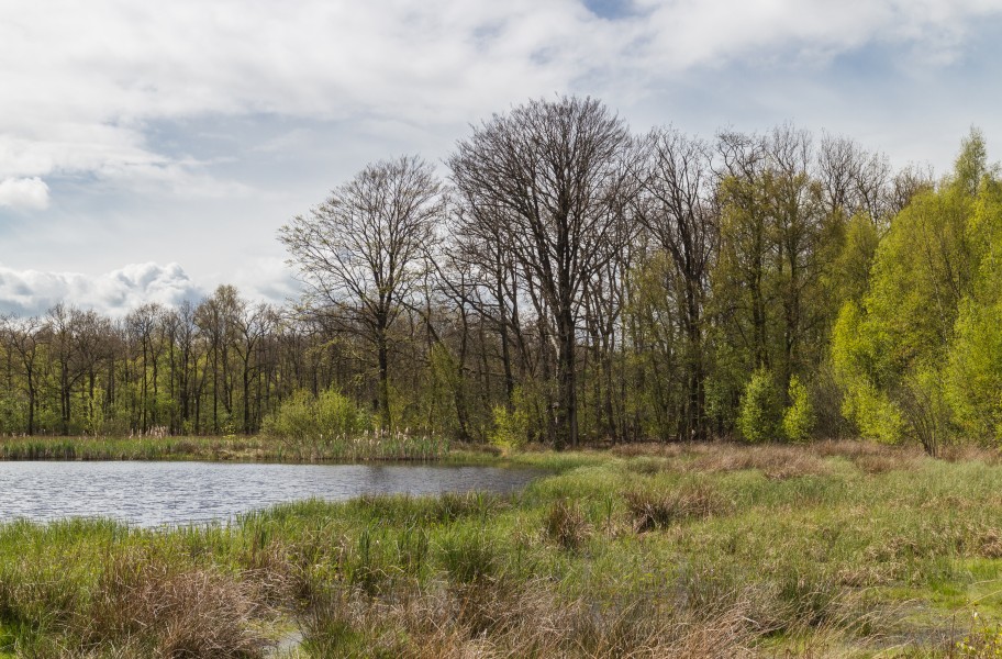 Wijnjeterper Schar, Natura 2000-gebied provincie Friesland 12