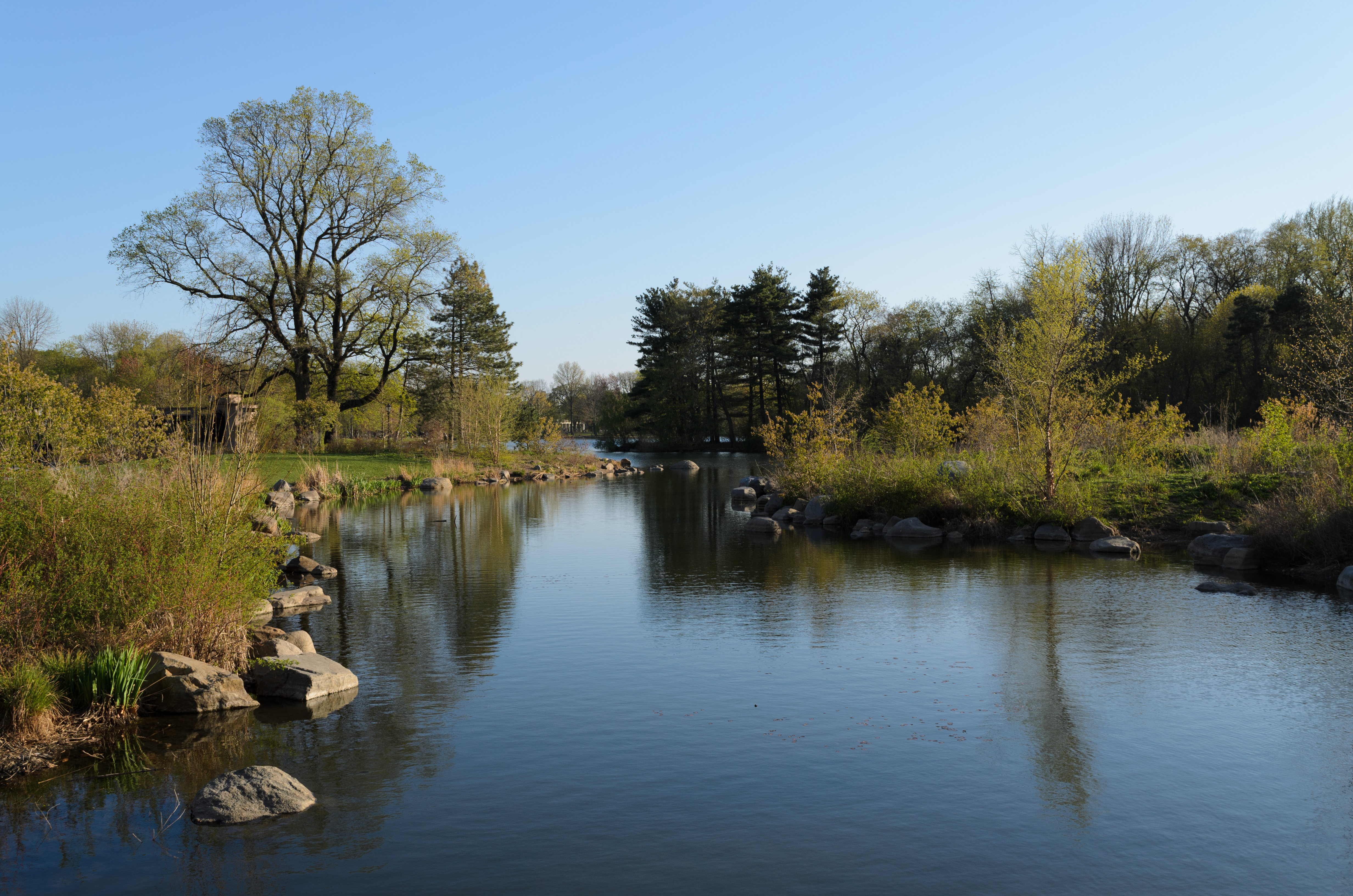 Prospect Park New York May 2015 001