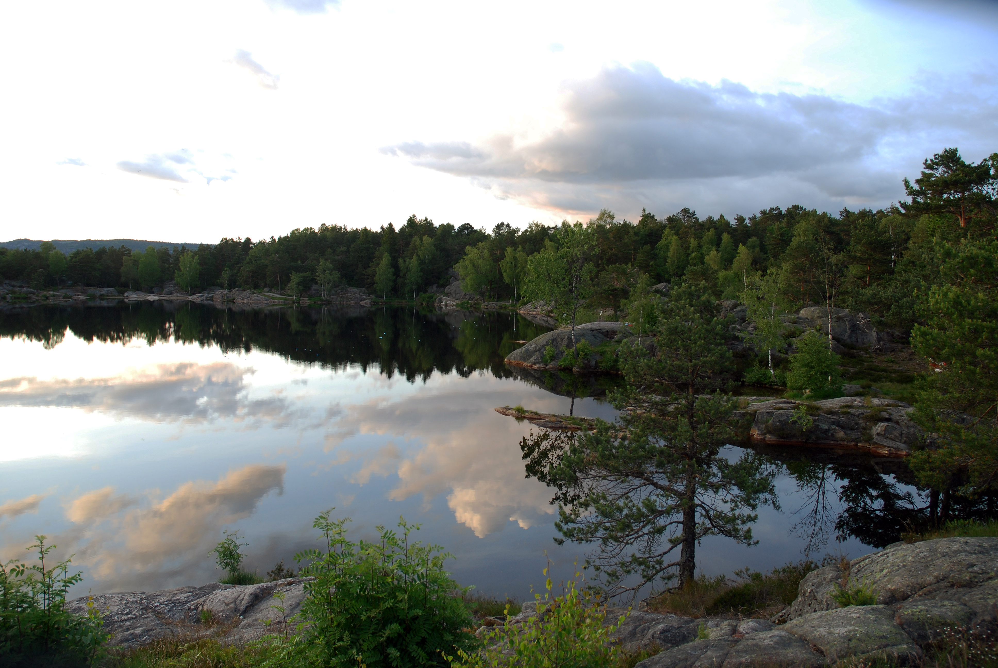 Reflections (3629161044)