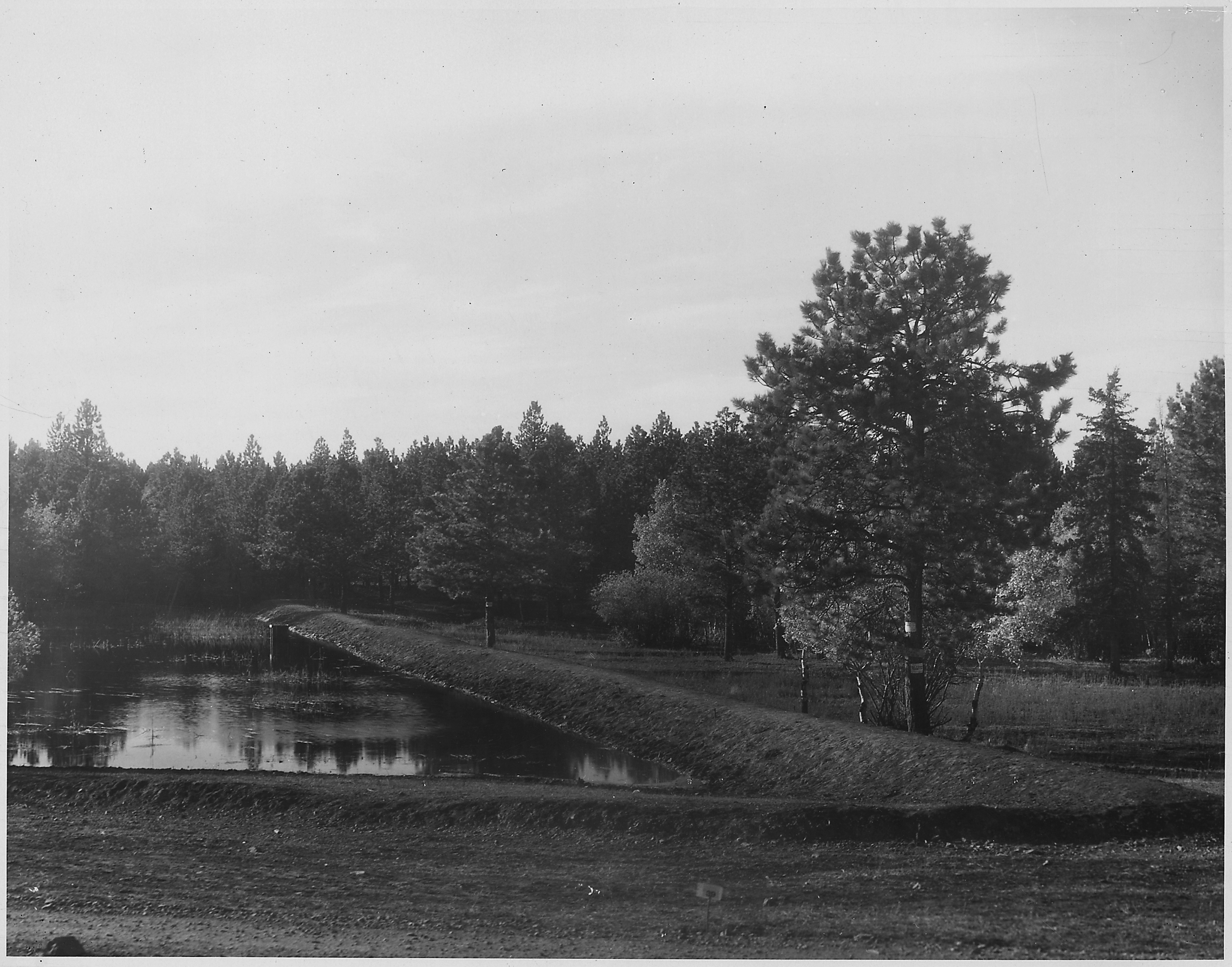 Reservoir built by C.C.C. labor on Nelson Lode - NARA - 286120