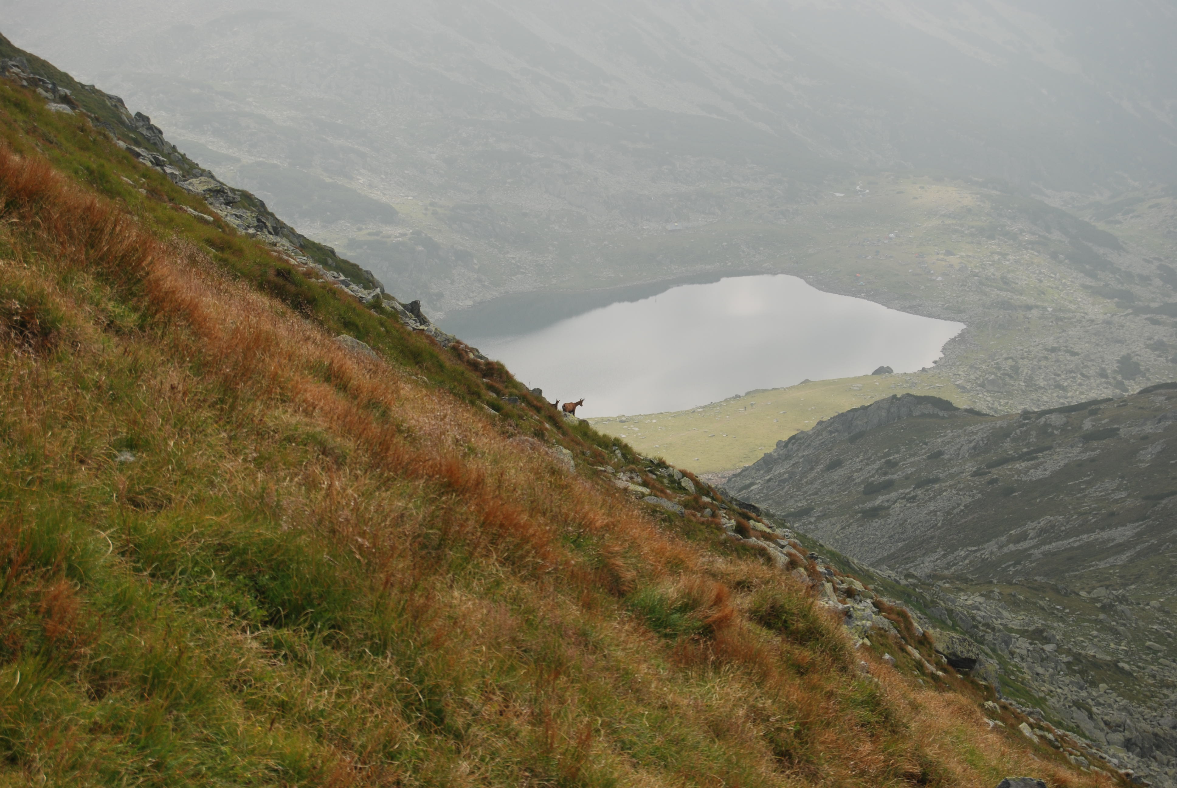 Retezat Mountain - Bucura Lake 02