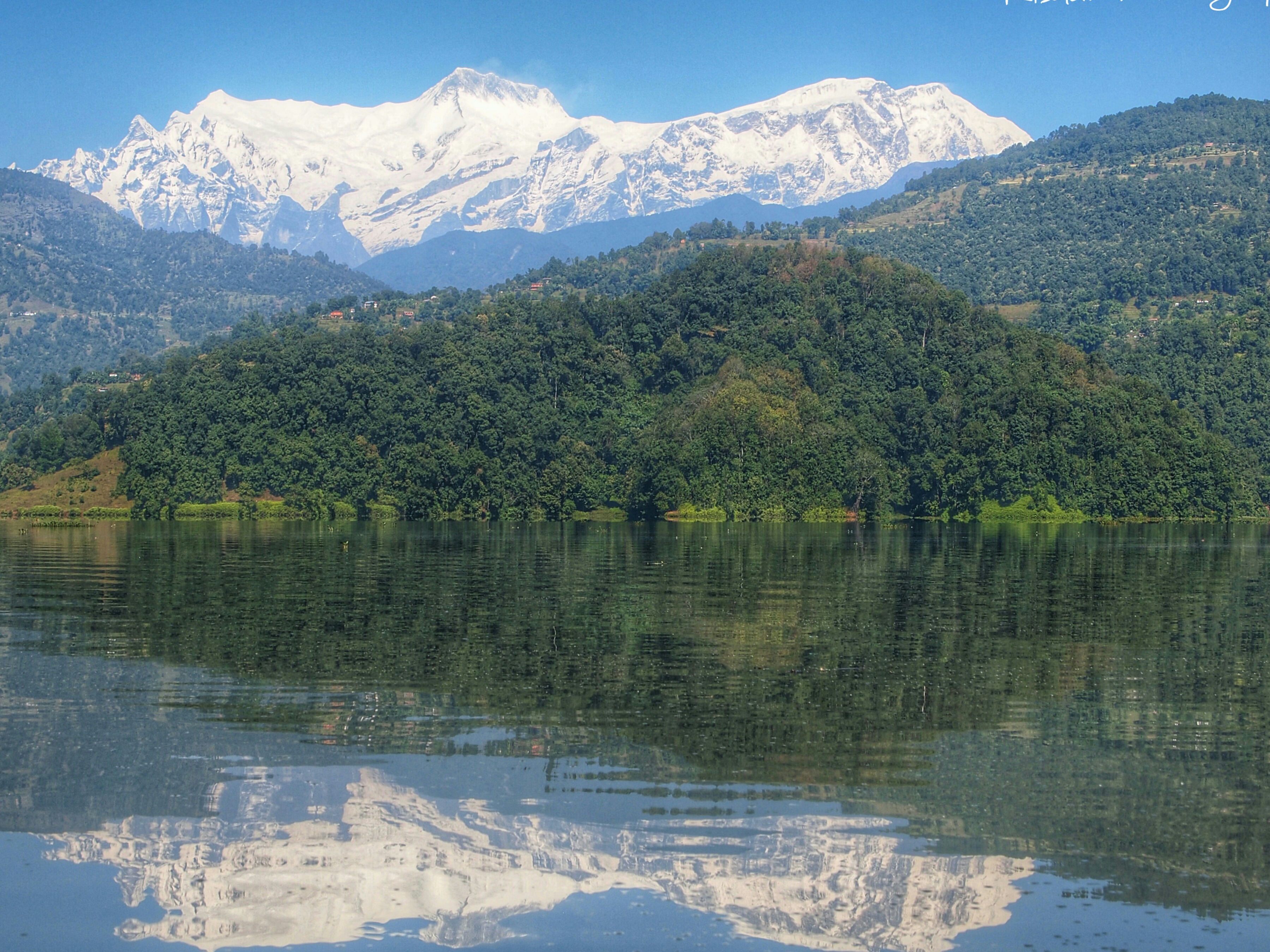 Rishav Adhikari Begnastal 12