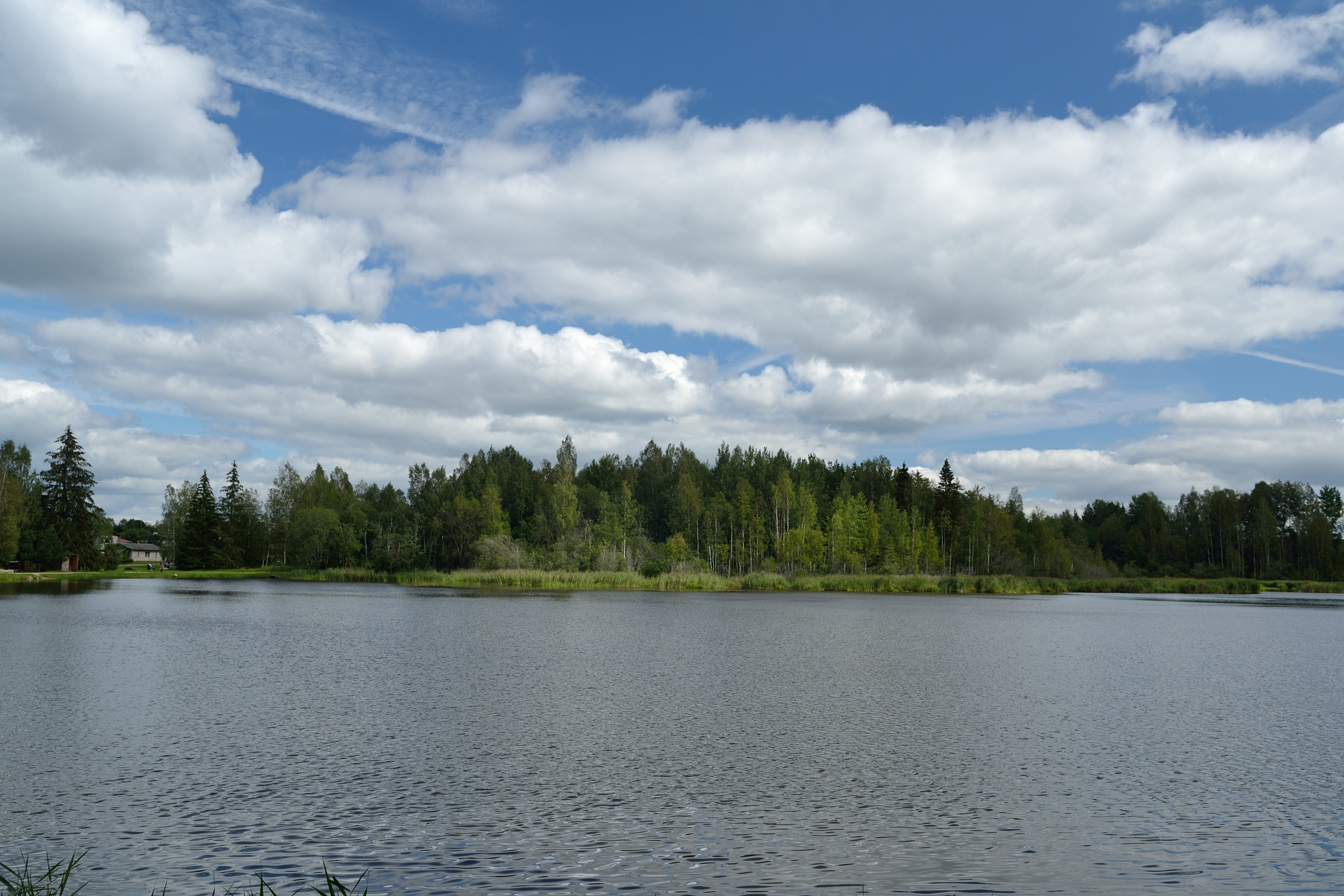Saarde paisjärv (Humalaste jõgi)