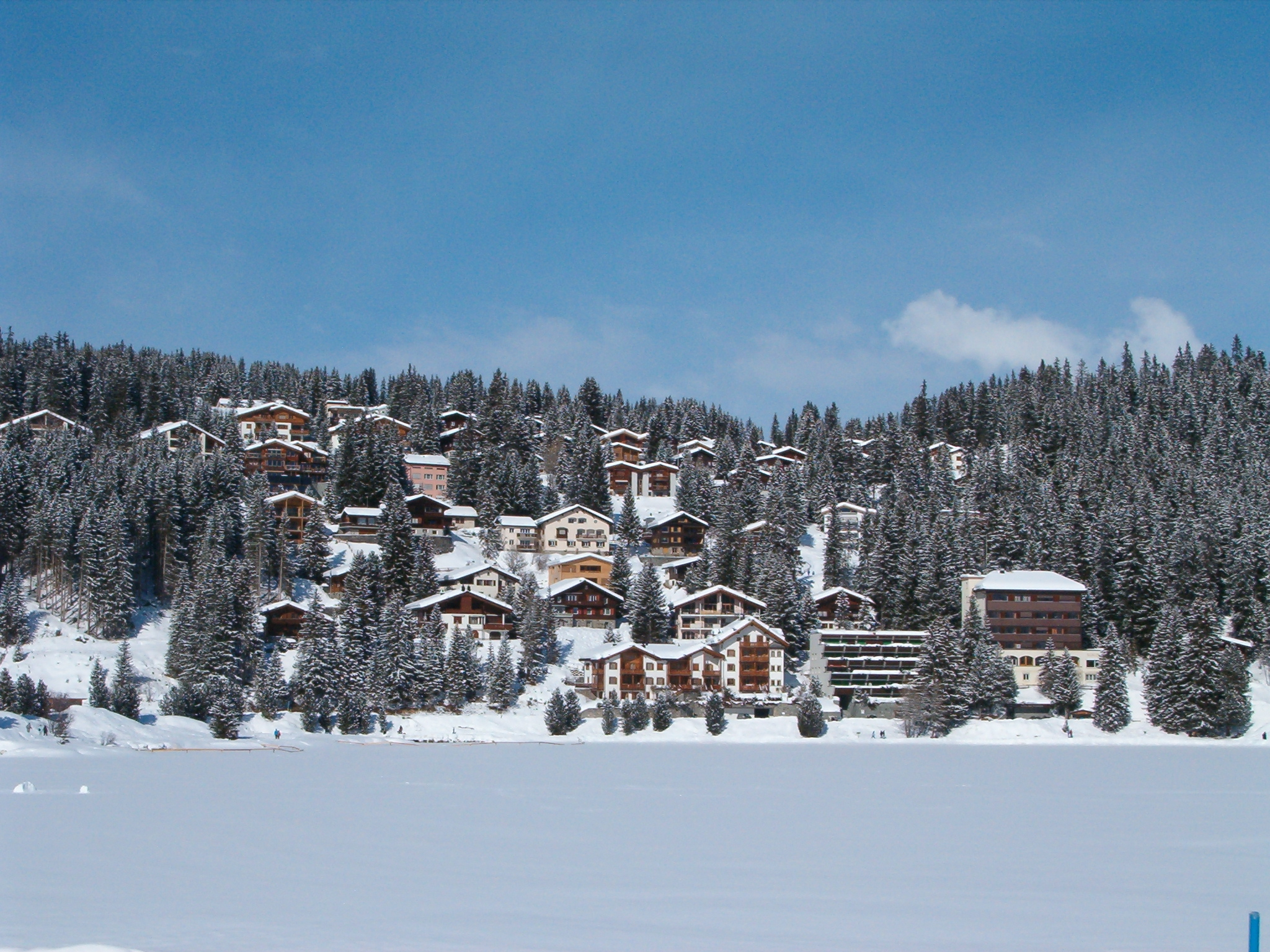 SeehaldeOberseeWinter