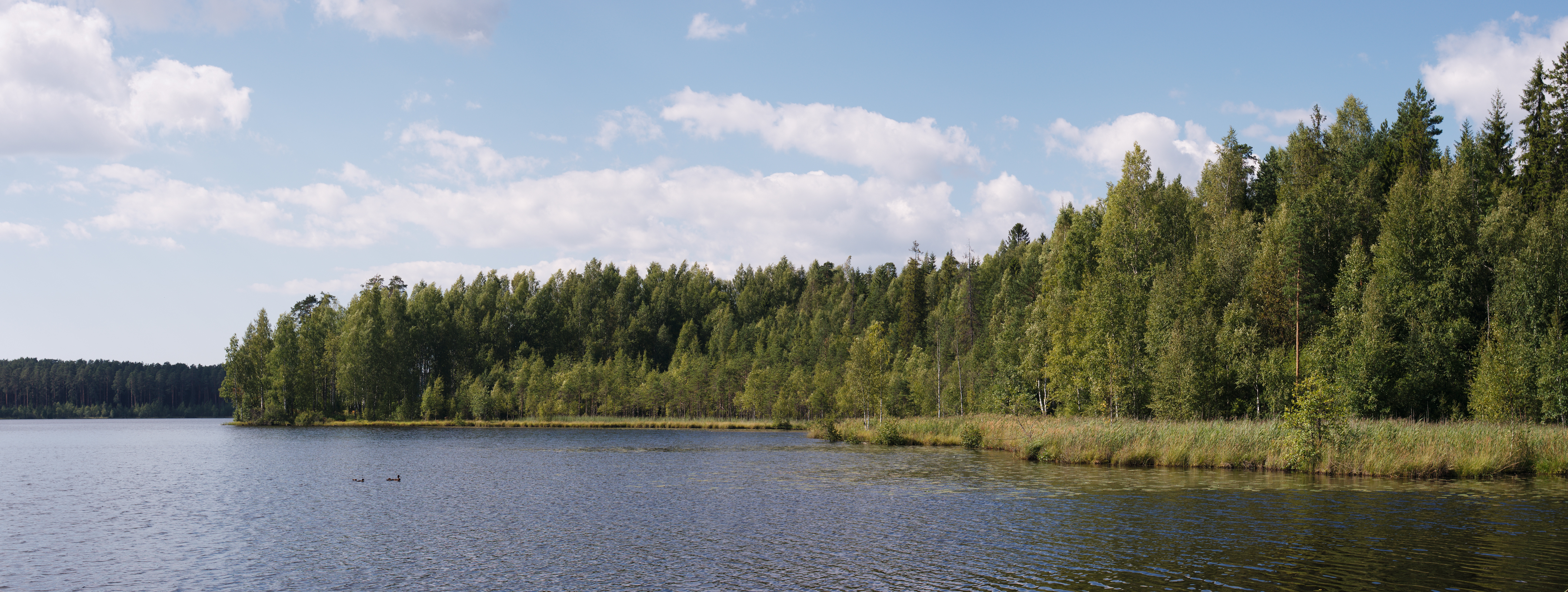 Shhuchie lake - Panoramic North