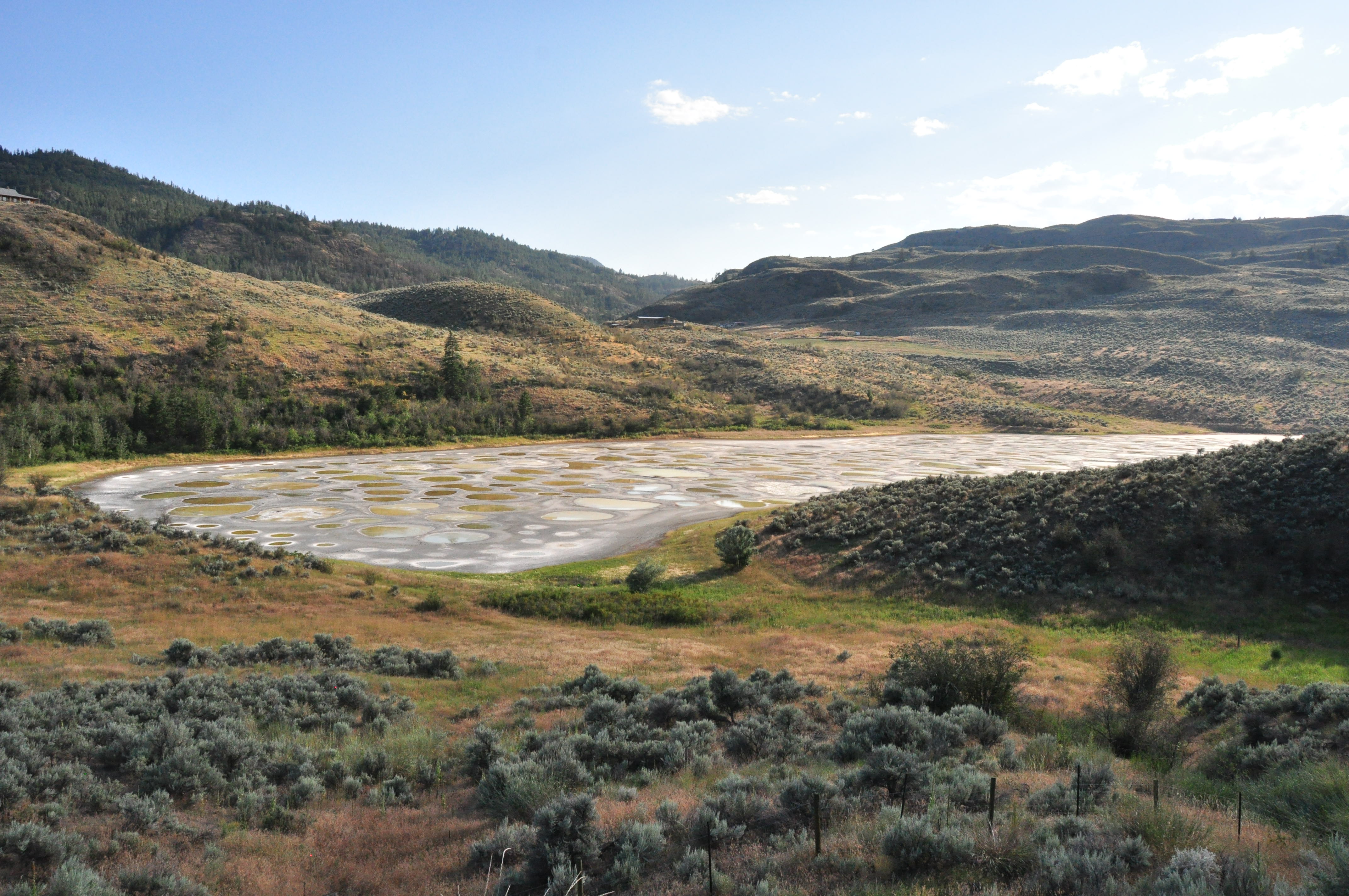 Spotted Lake Osoyoos