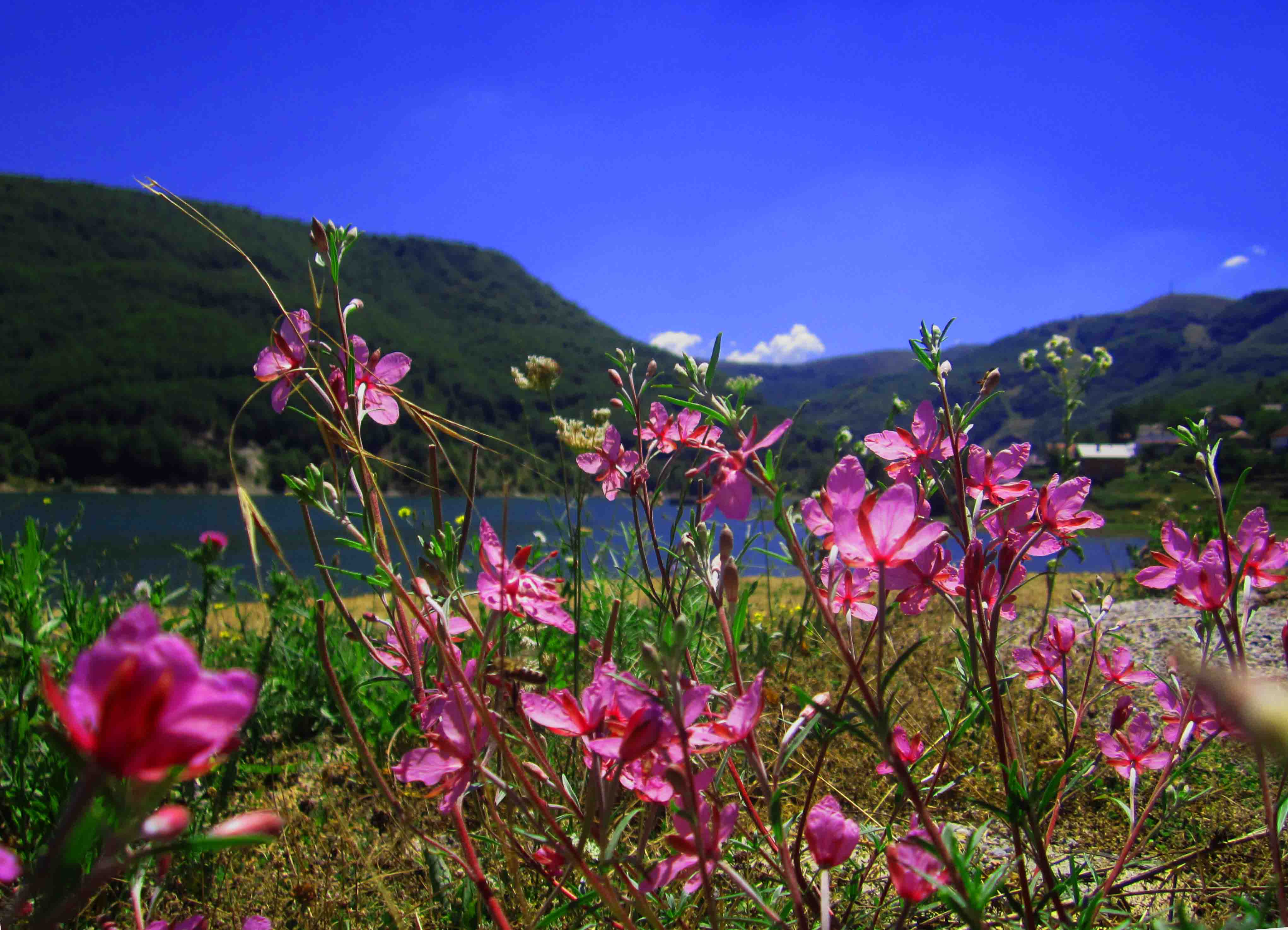 The Mavrovo lake , 6