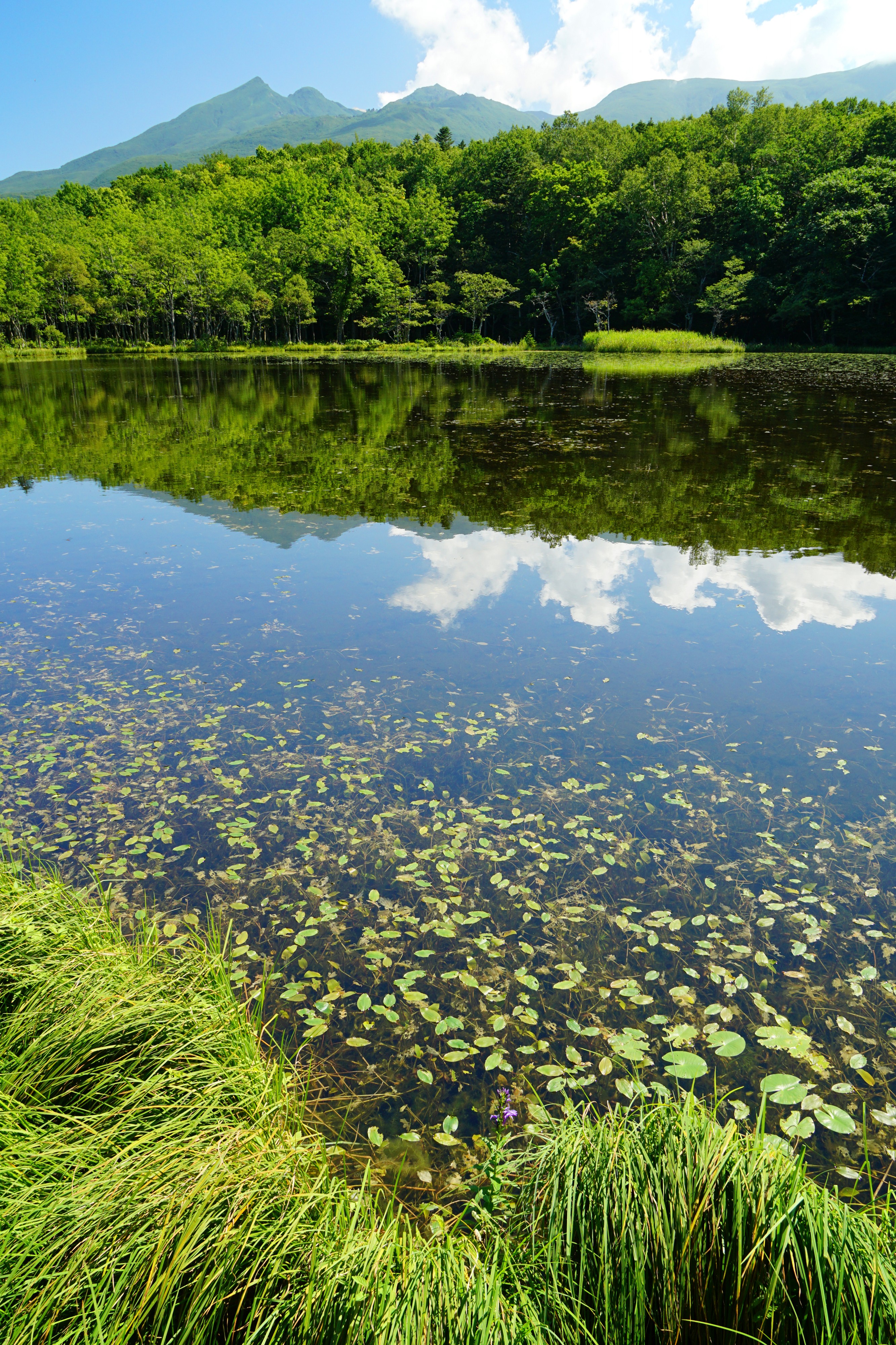 140829 Goko of Shiretoko Goko Lakes Hokkaido Japan03ss5