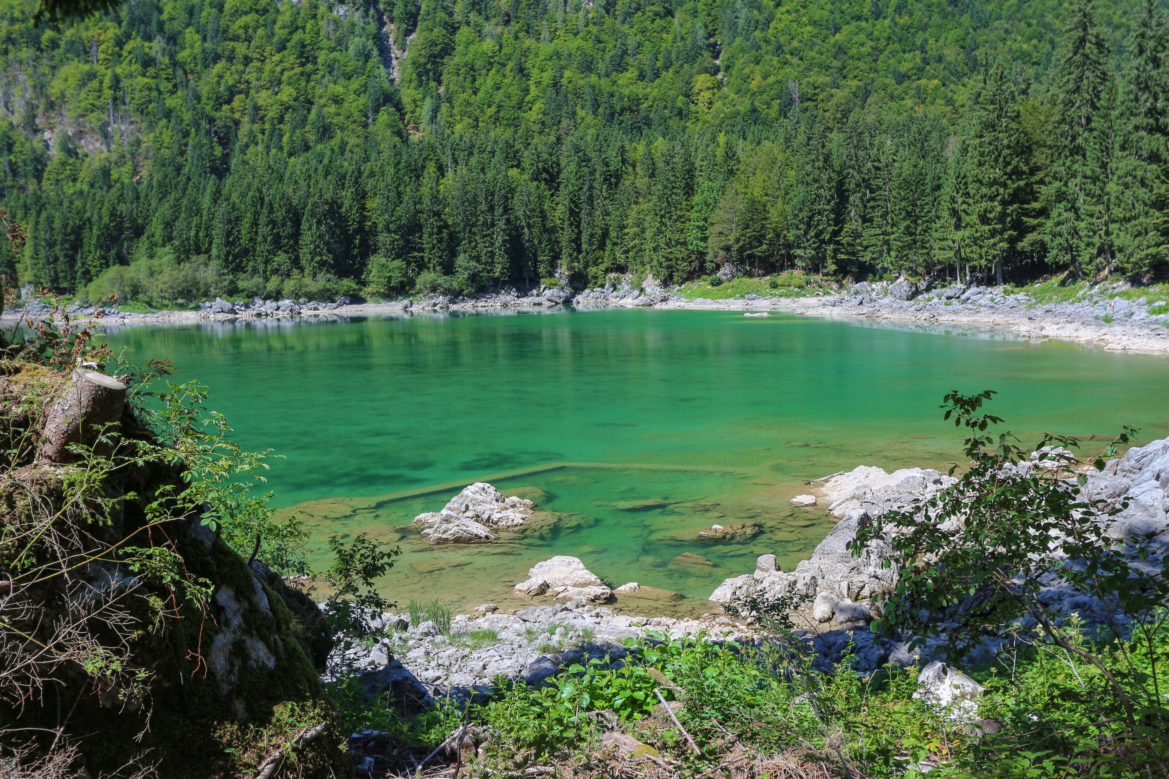 2013-08-17 Lago di Fusine superiore -hu- A 4537