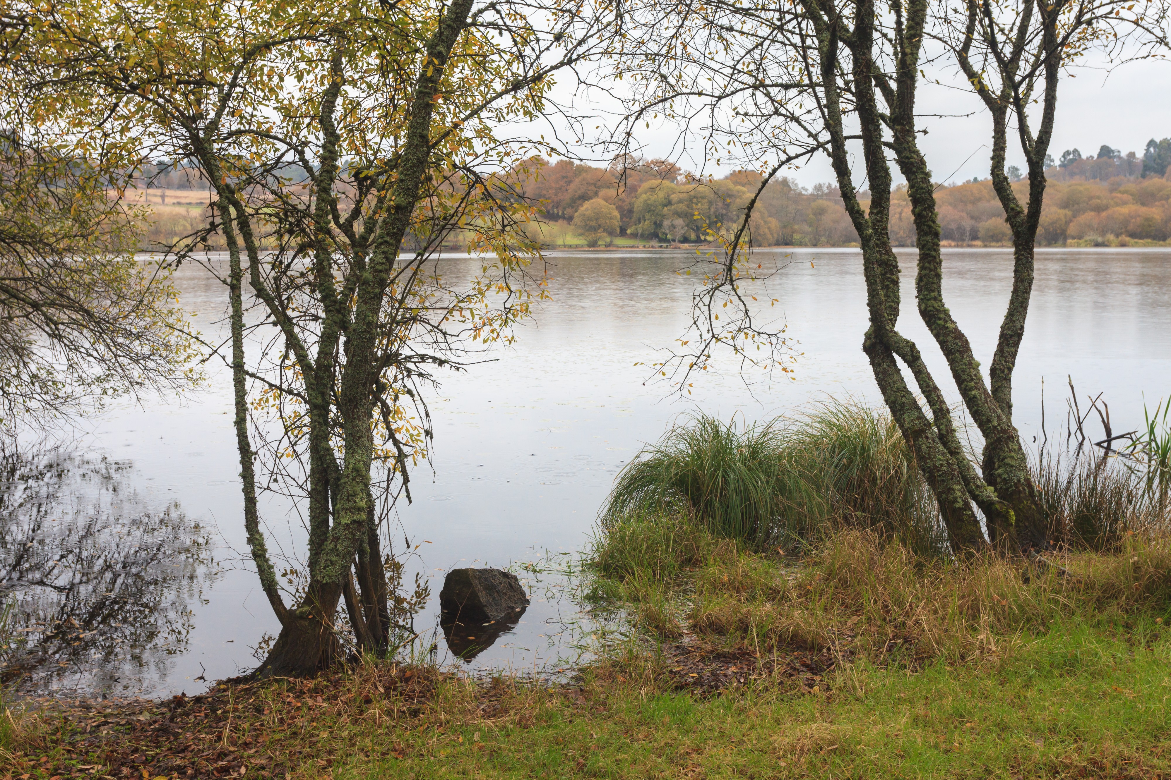 2017 Lagoa de Sobrado. Galiza-3