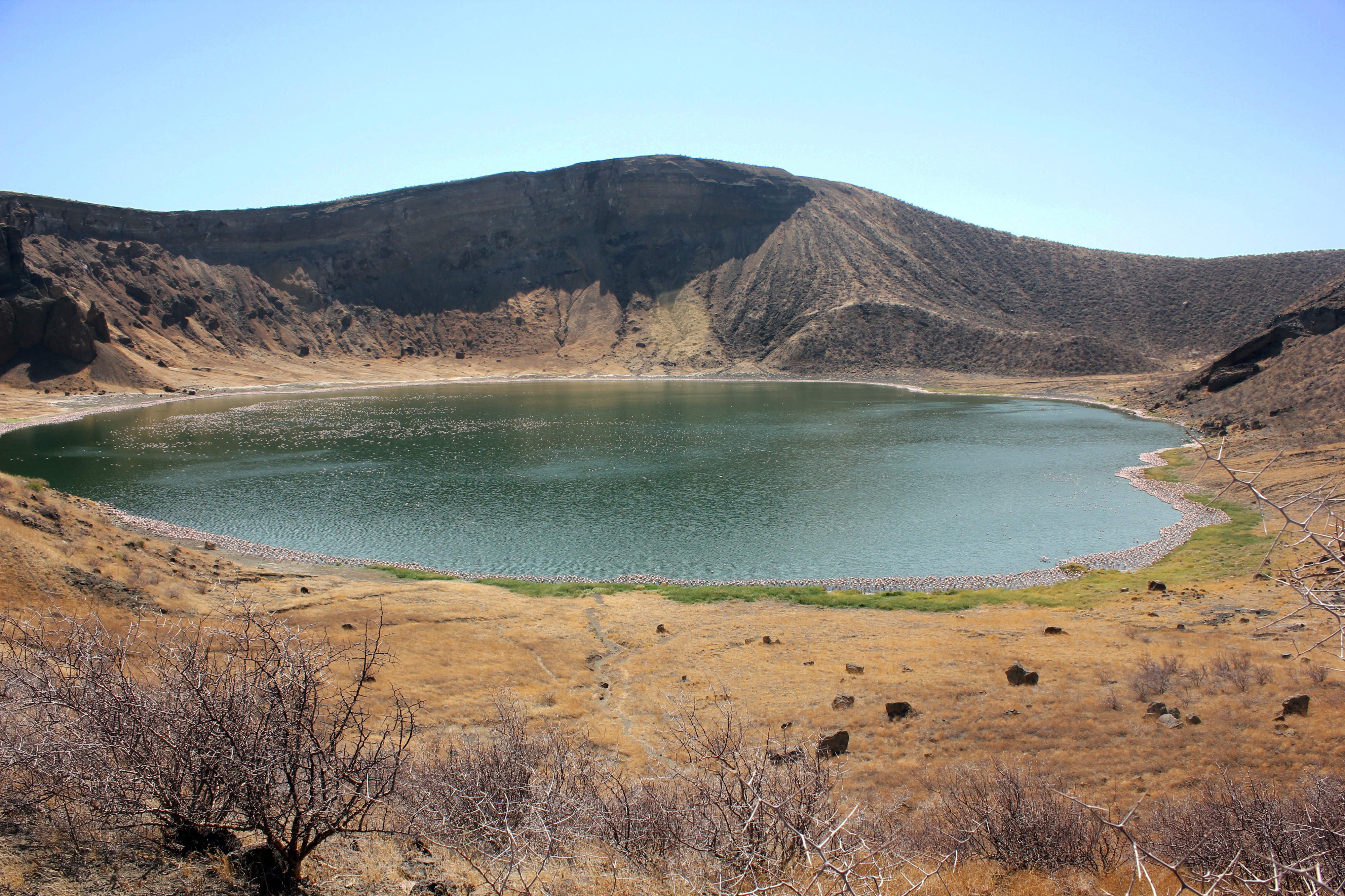 Flamingo Lake 01