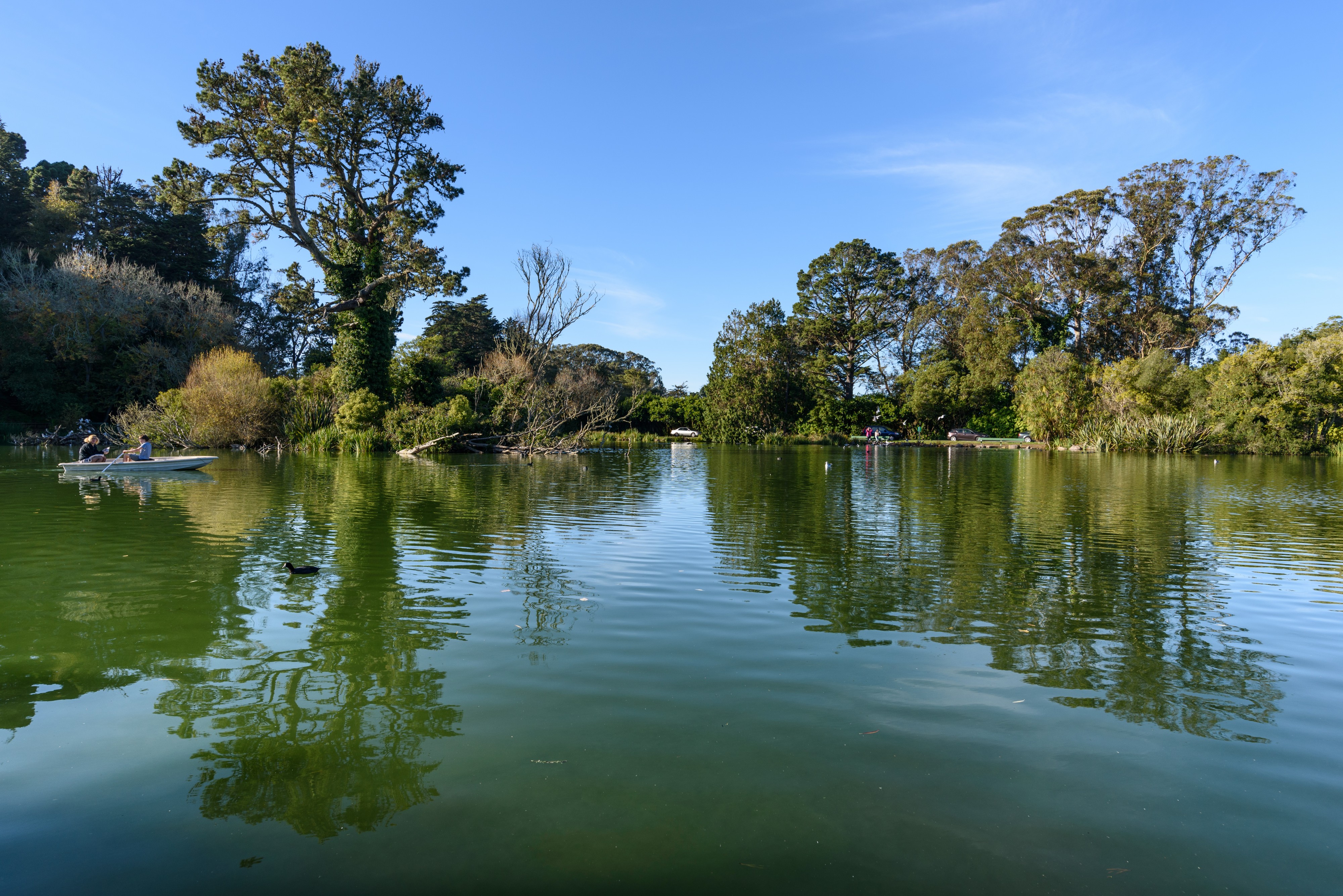 Golden Gate Park San Francisco December 2016 003