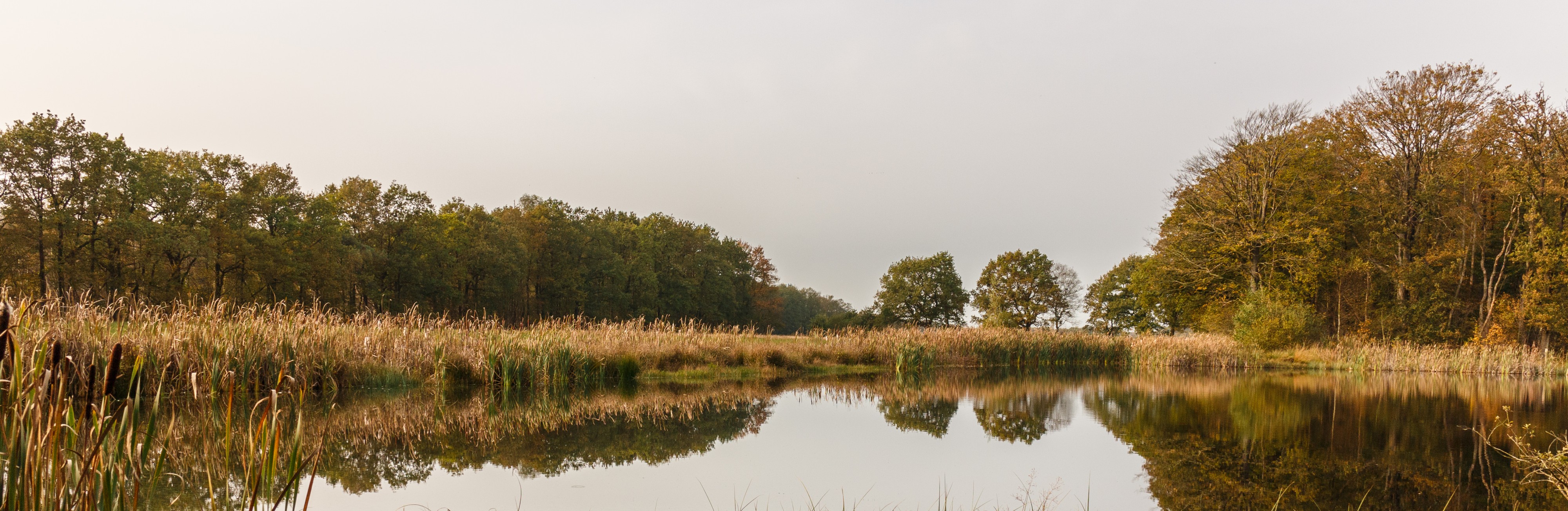 Herfstwandeling door het Wijnjeterper Schar 027