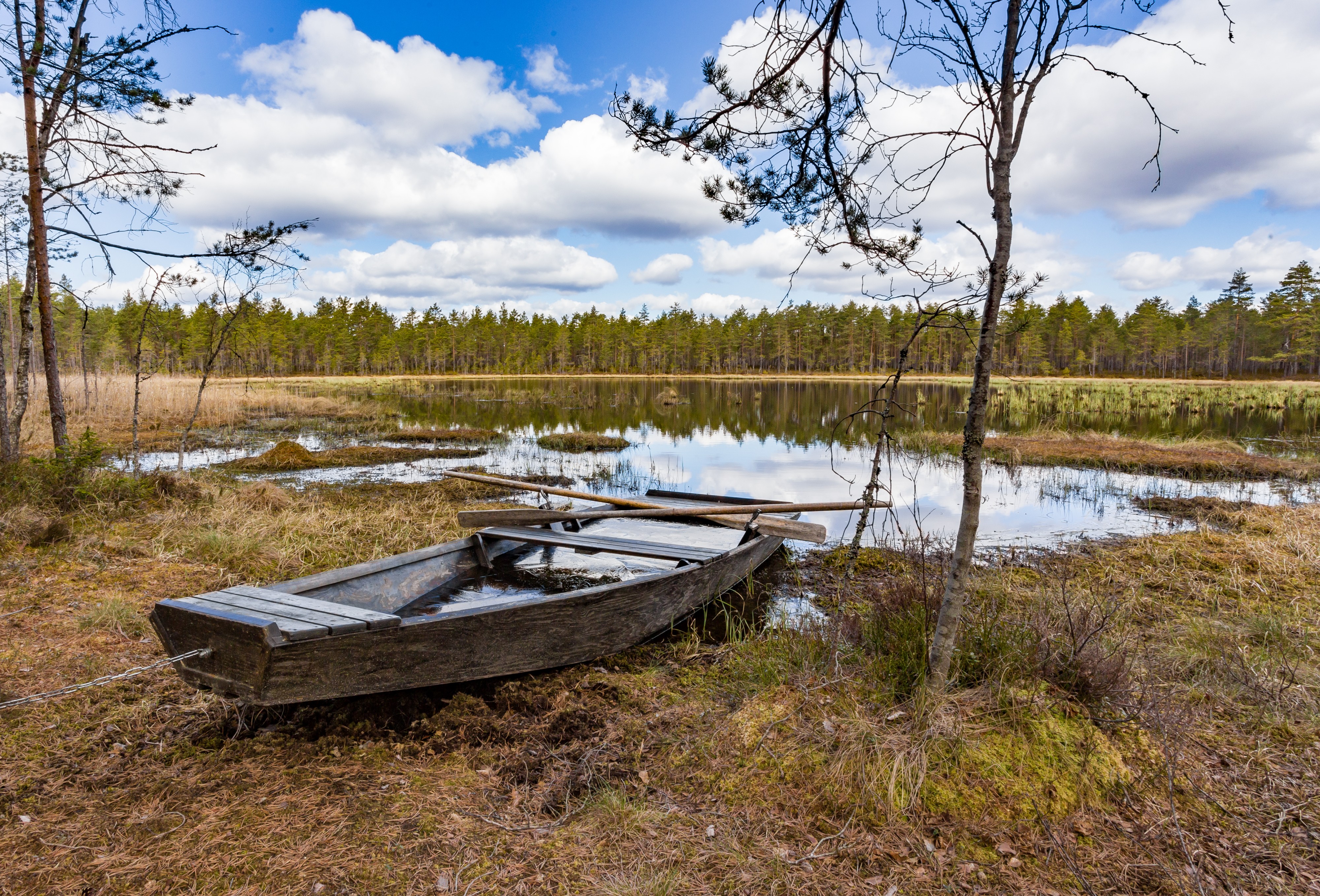 Knuttjärnen 2017-05-10