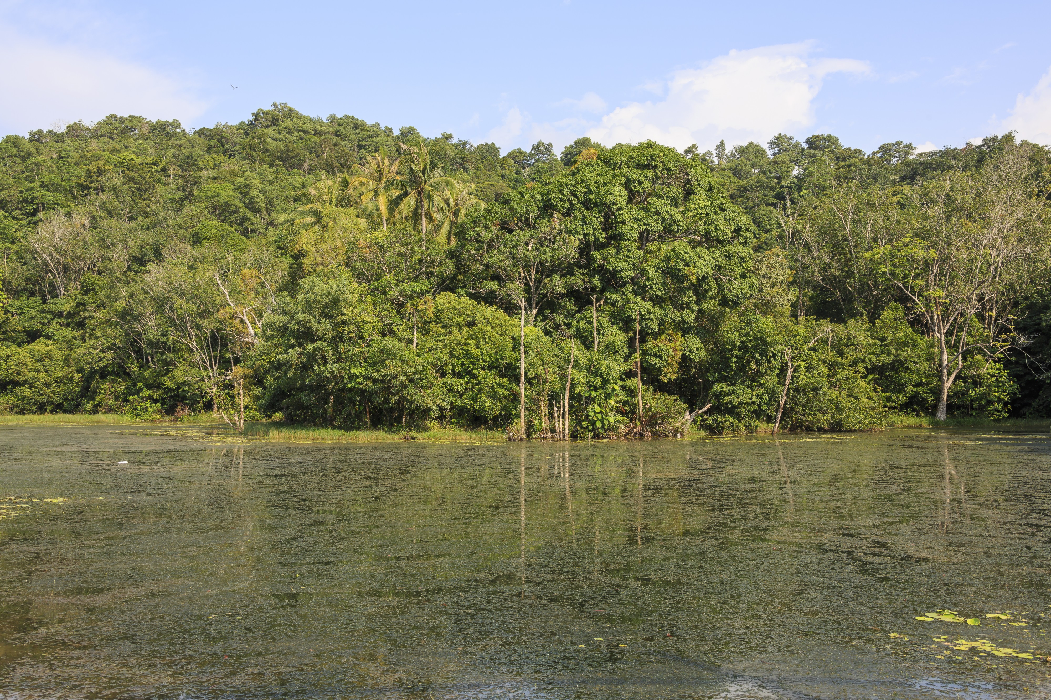 Kota-Belud Sabah Small-lake-along-Federal-Route-1-01