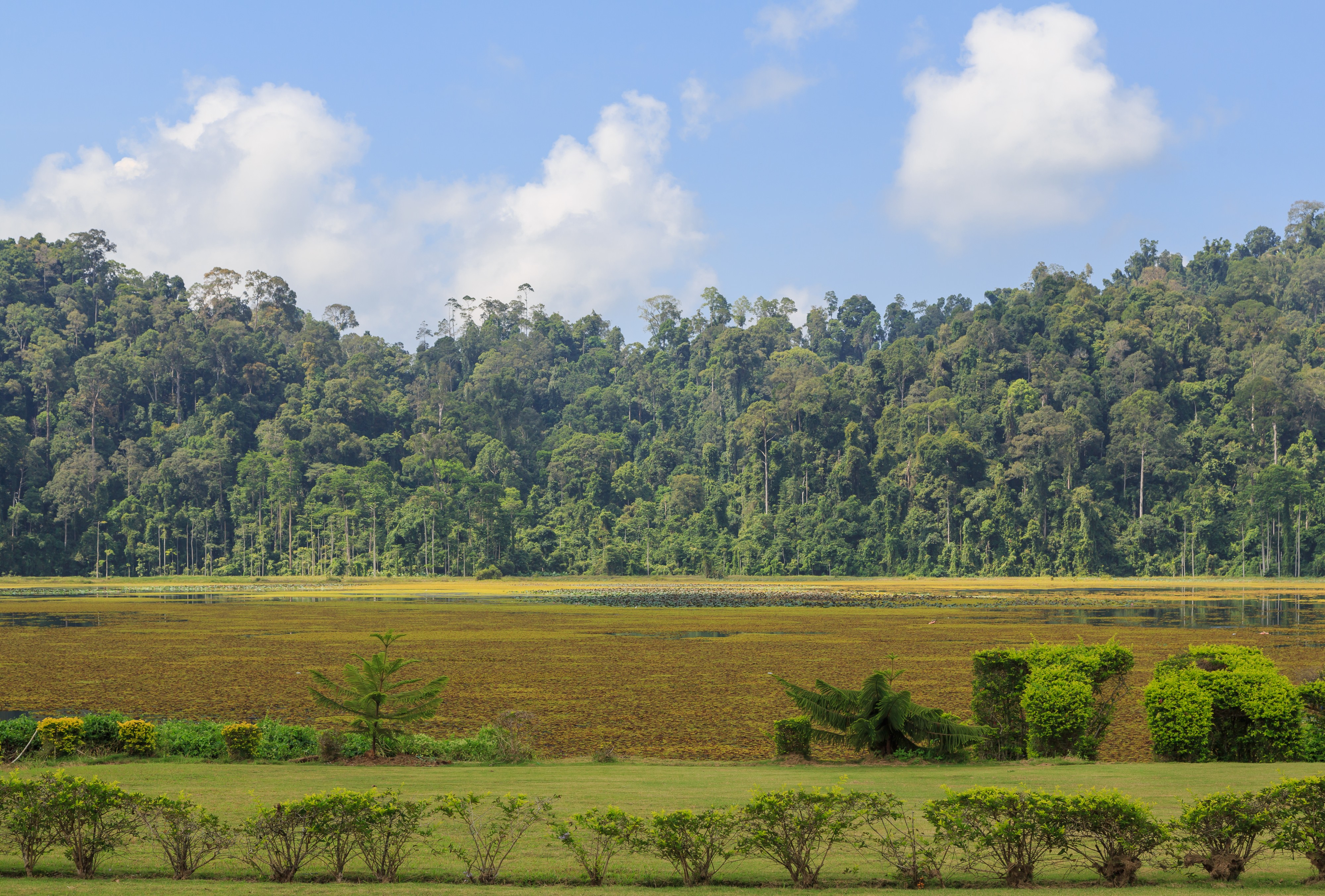 Kunak Sabah Mostyn-Estate-11