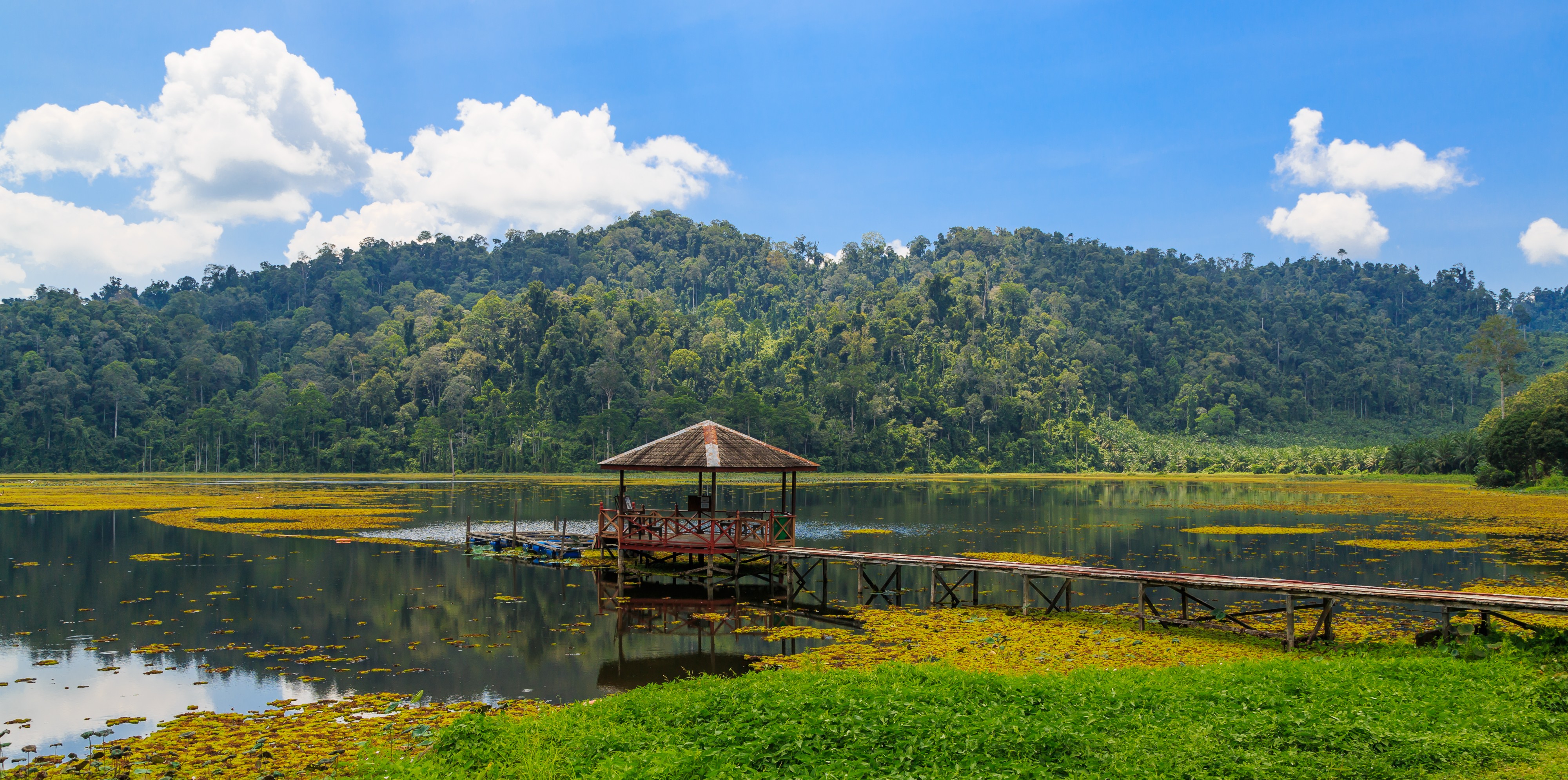 Kunak Sabah Mostyn-Estate-12