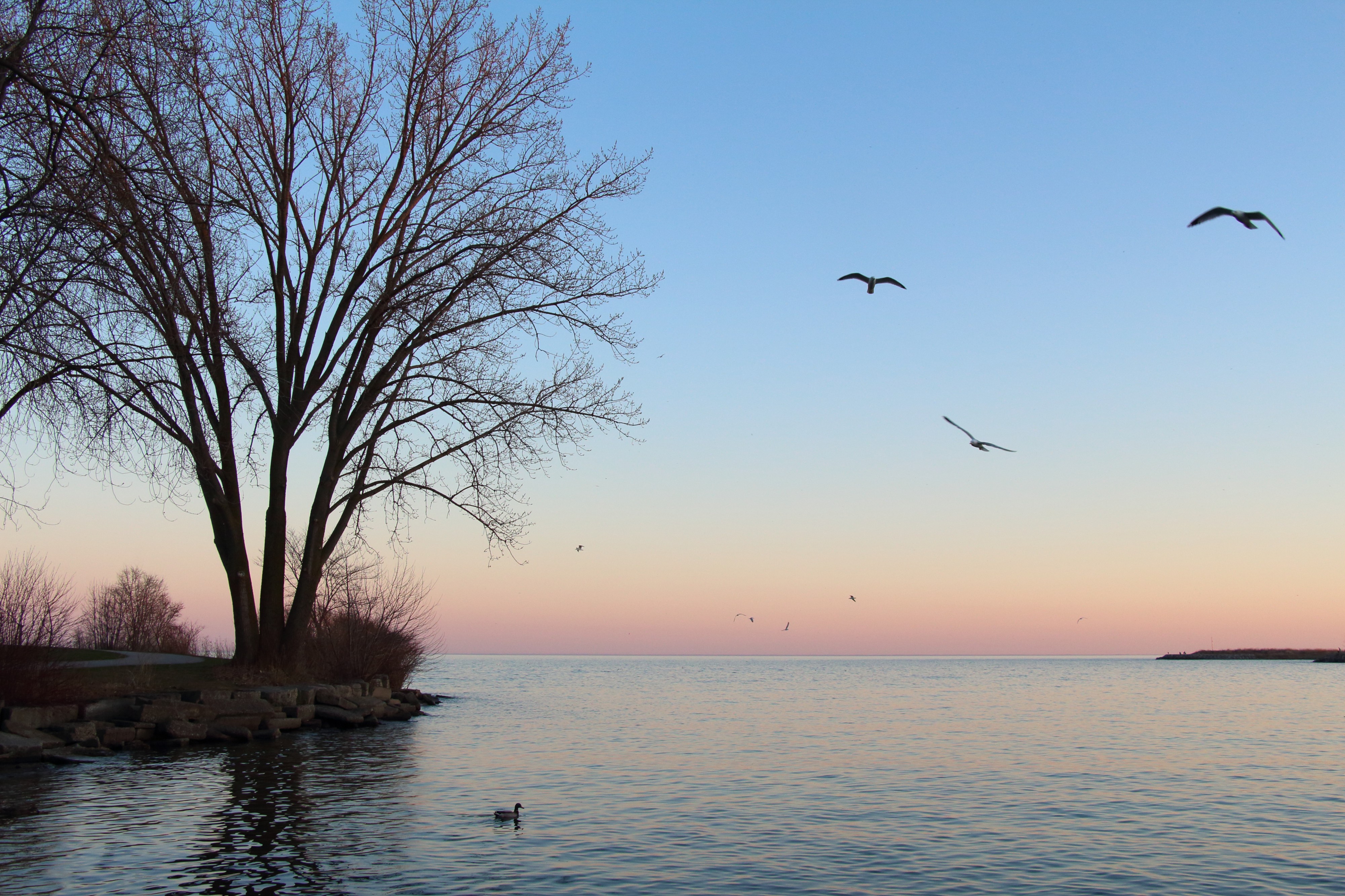 Lake Ontario Dusk