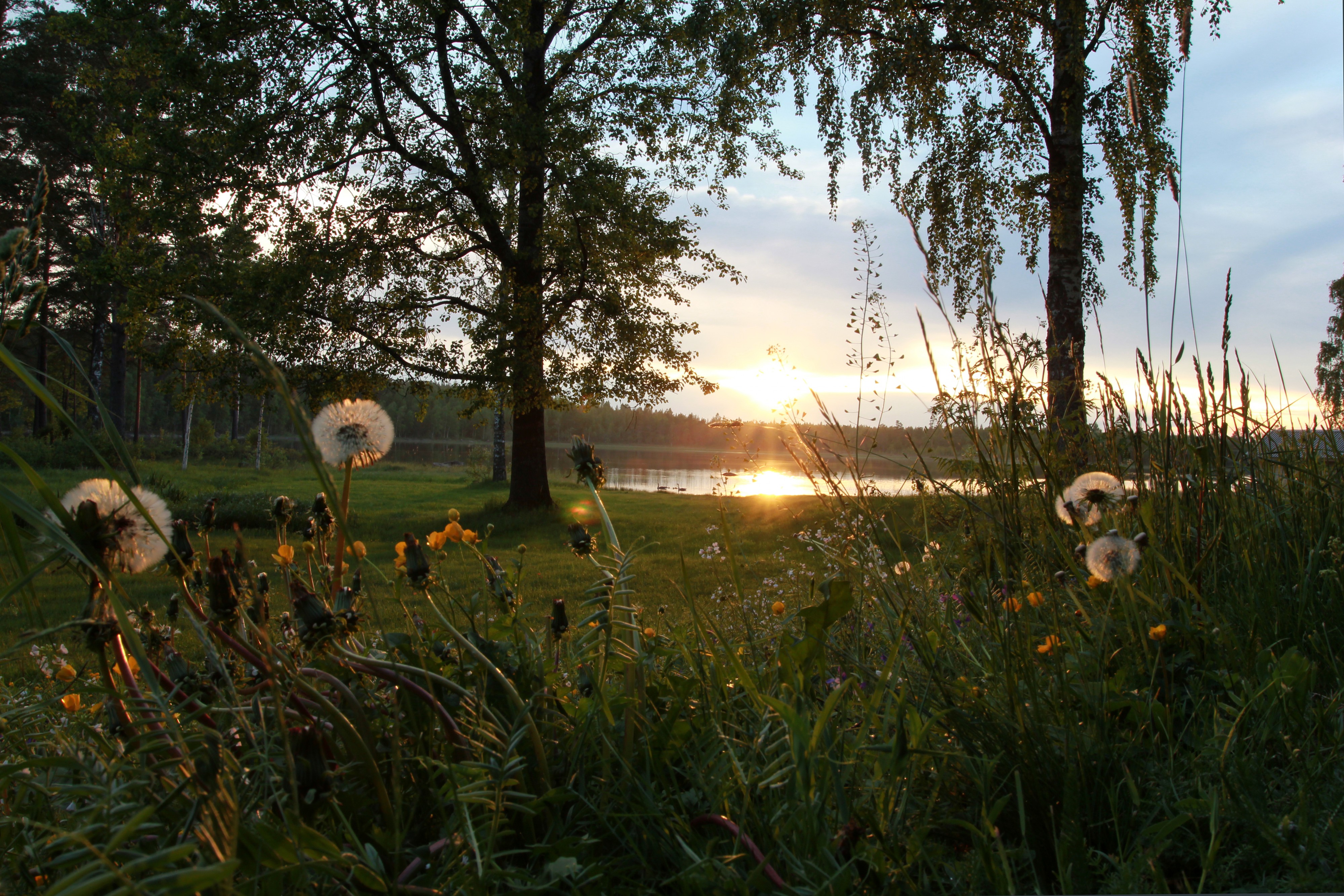 Mellansjön 01