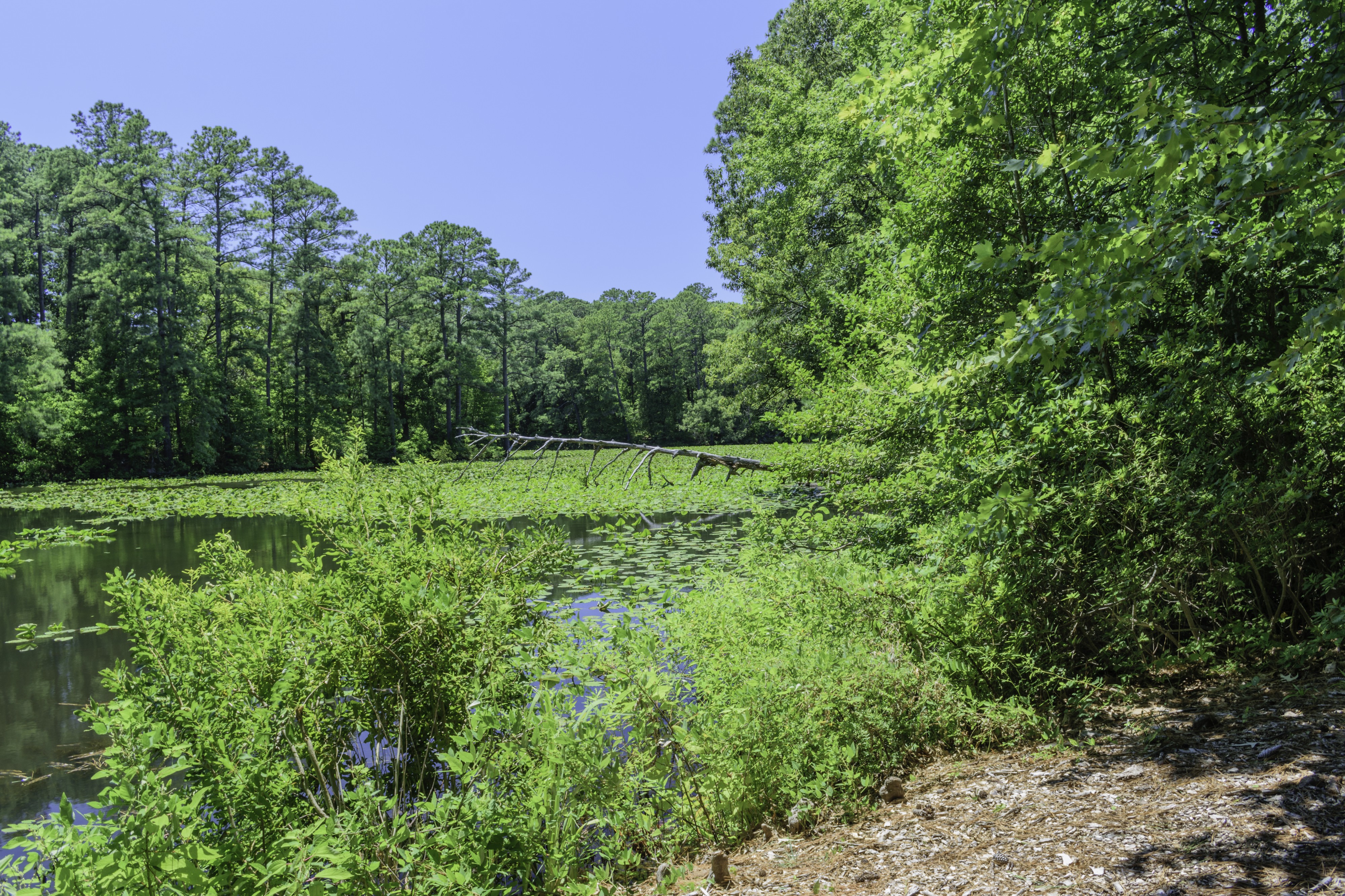 Mirror Lake NBG LR