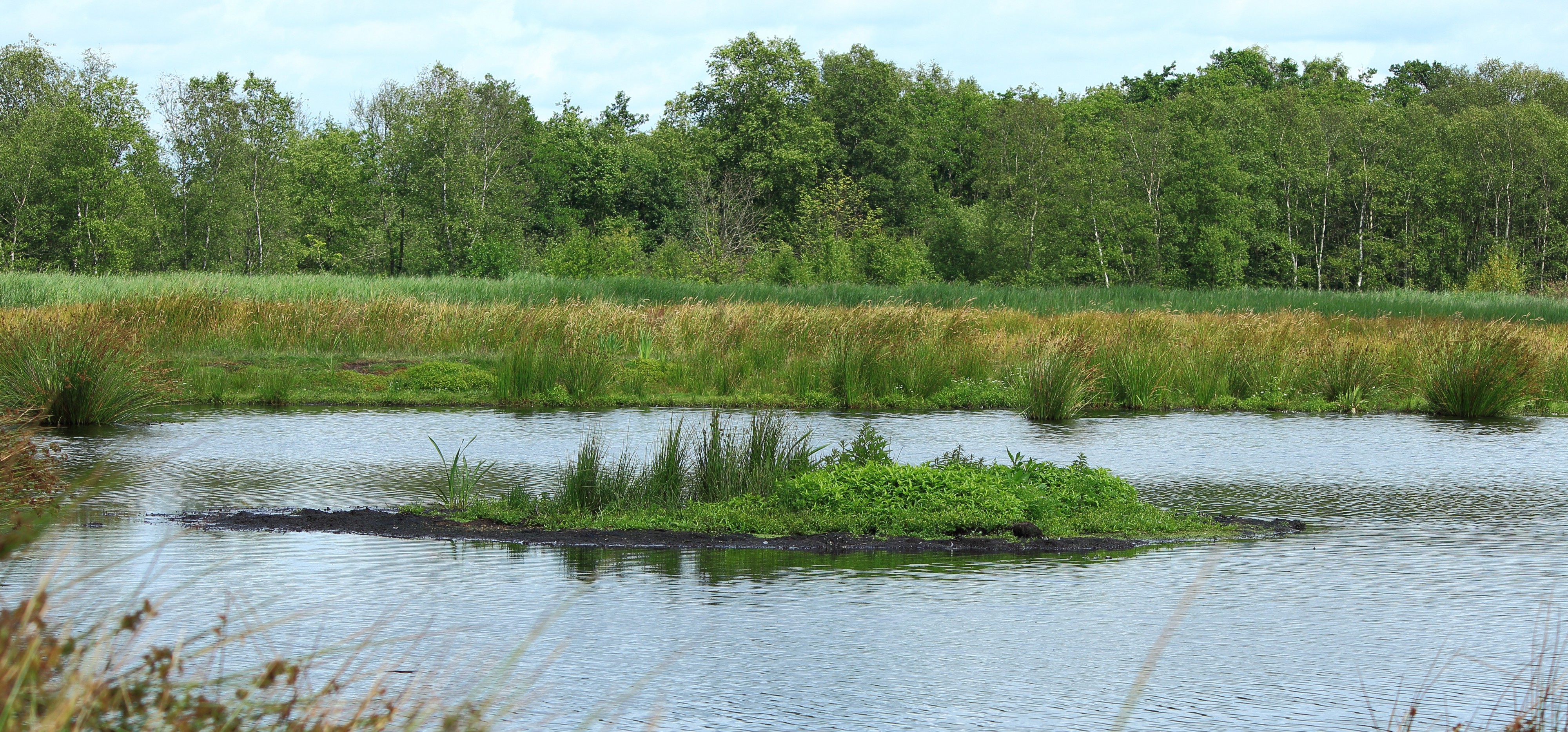 Nationaal Park De Alde Feanen. Locatie, It Wikelslân 014