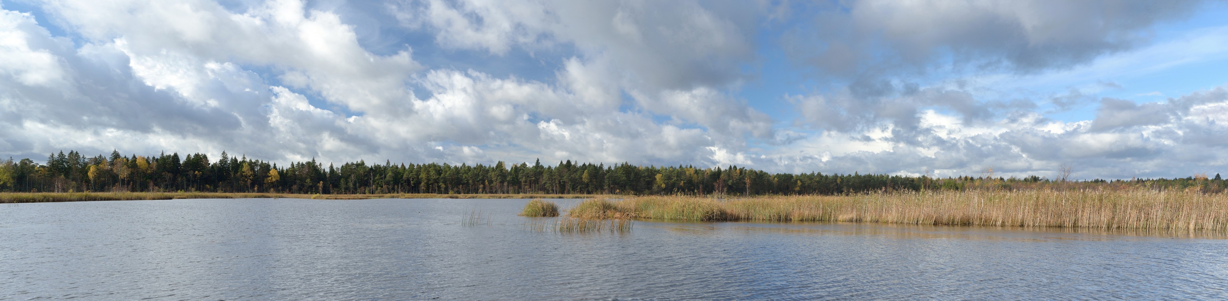 Ruila järv