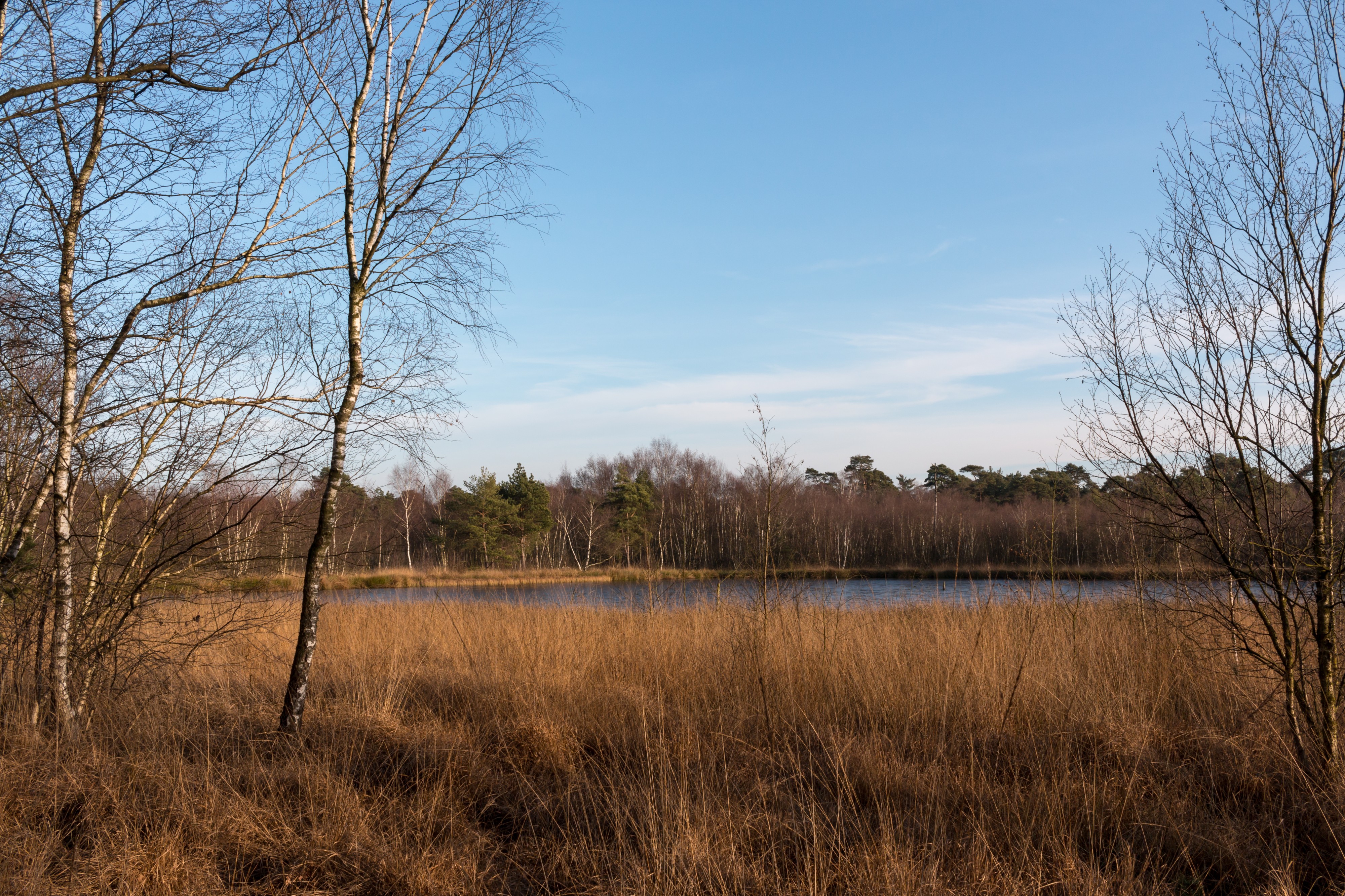 Senden, Venner Moor -- 2016 -- 5879