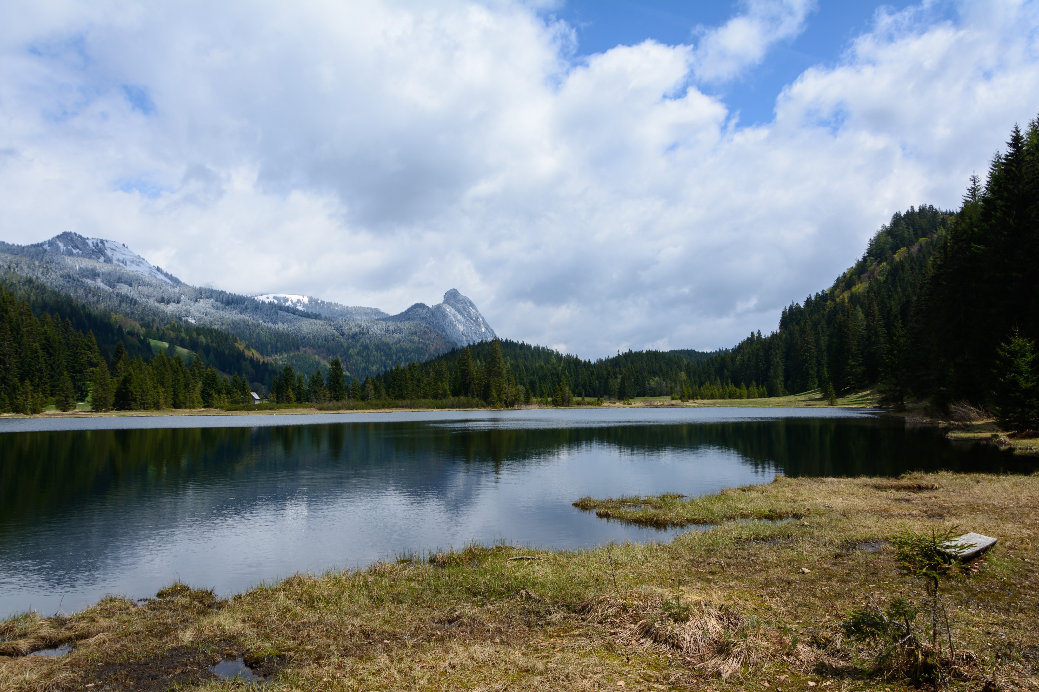 Spechtensee gegen Osten 02