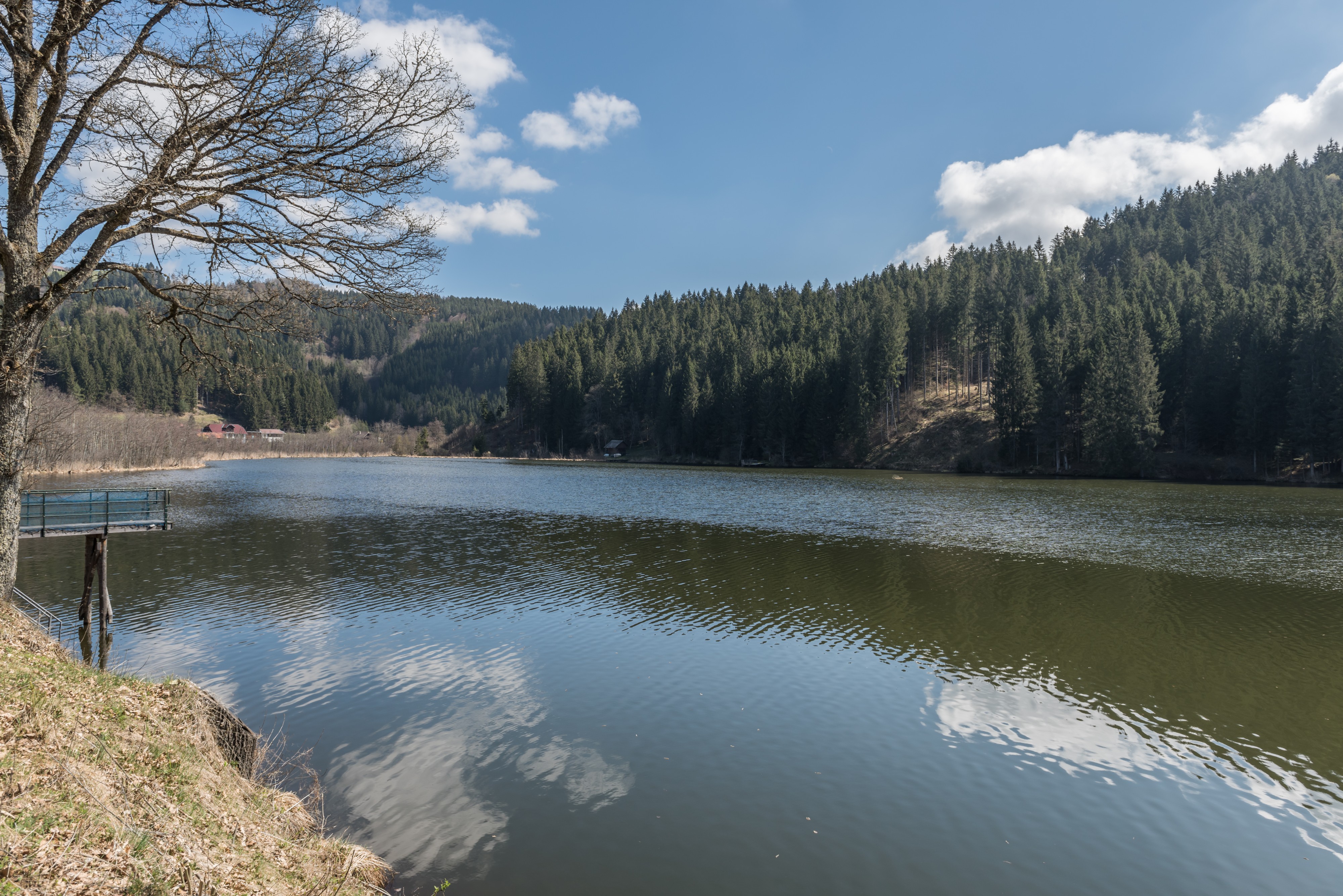 Steuerberg Goggau Goggausee 04112016 1298