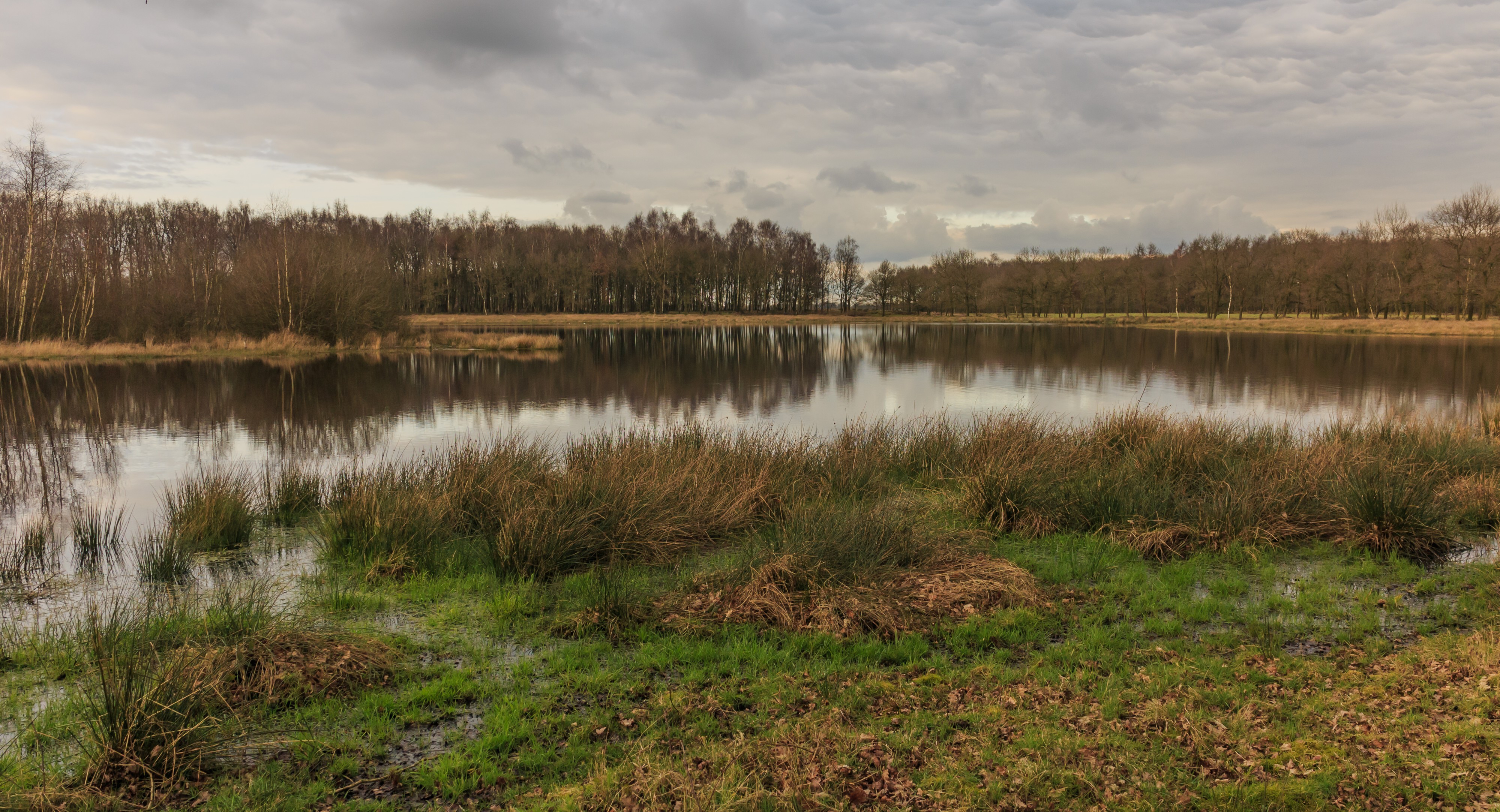 Uitzicht op poel. Locatie, natuurgebied Delleboersterheide – Catspoele 05