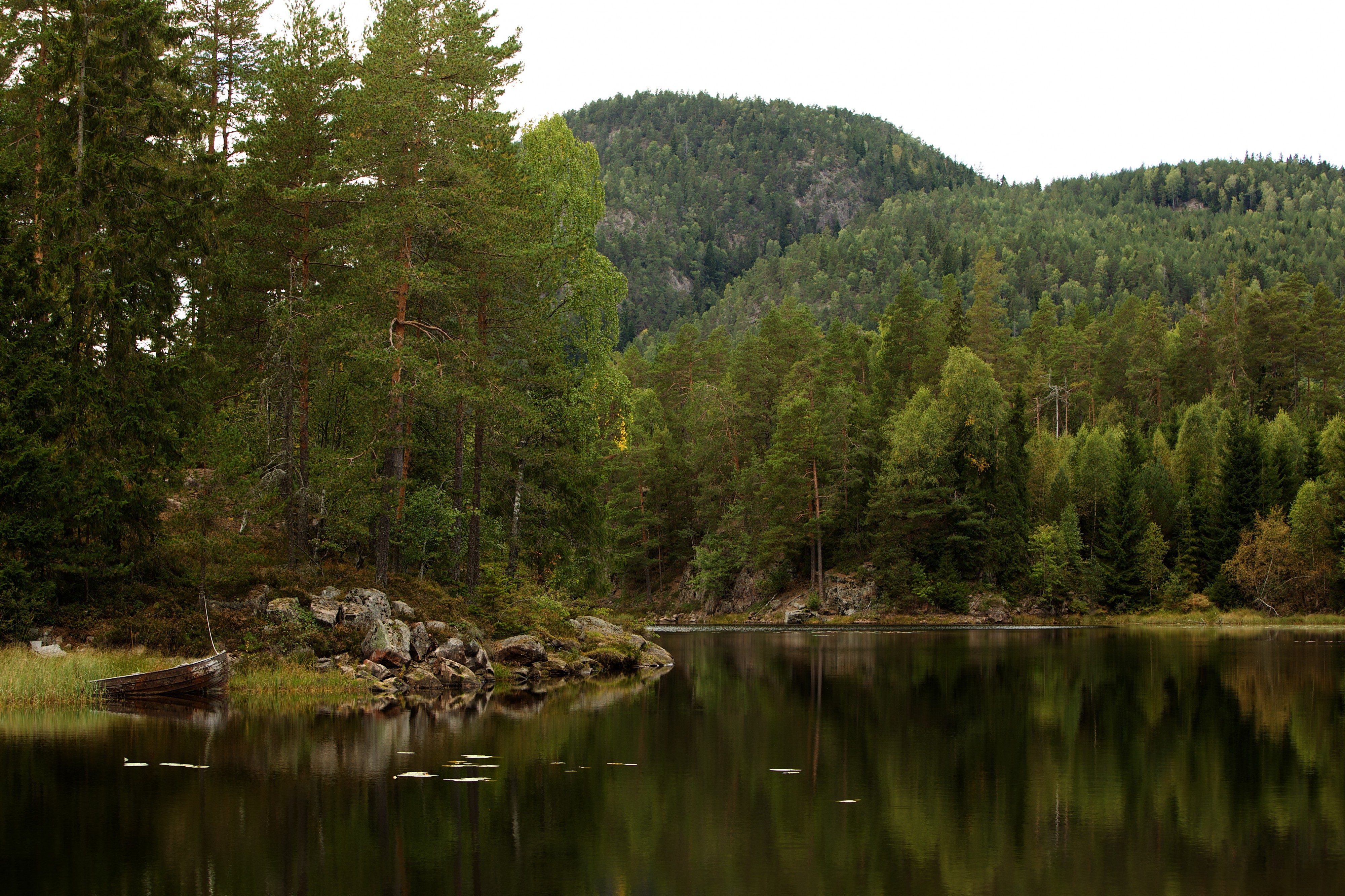 Ulvsvann