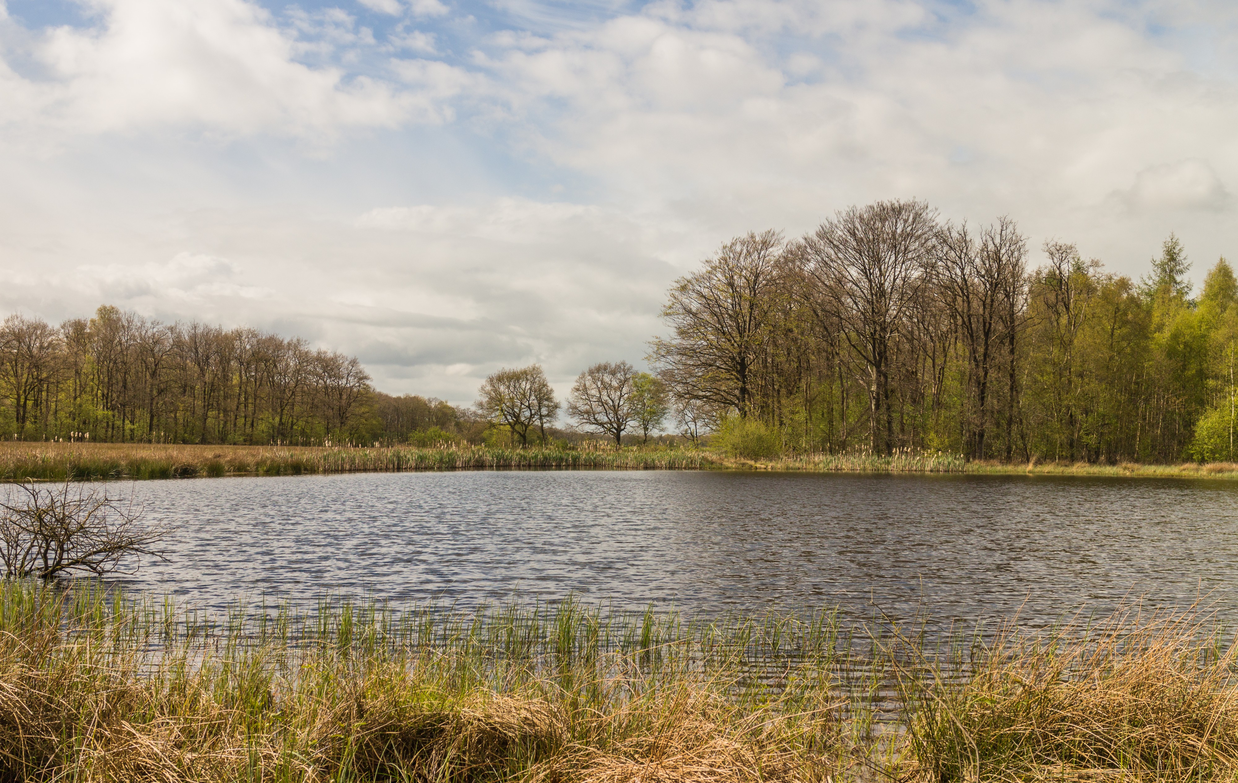 Wijnjeterper Schar, Natura 2000-gebied provincie Friesland 012