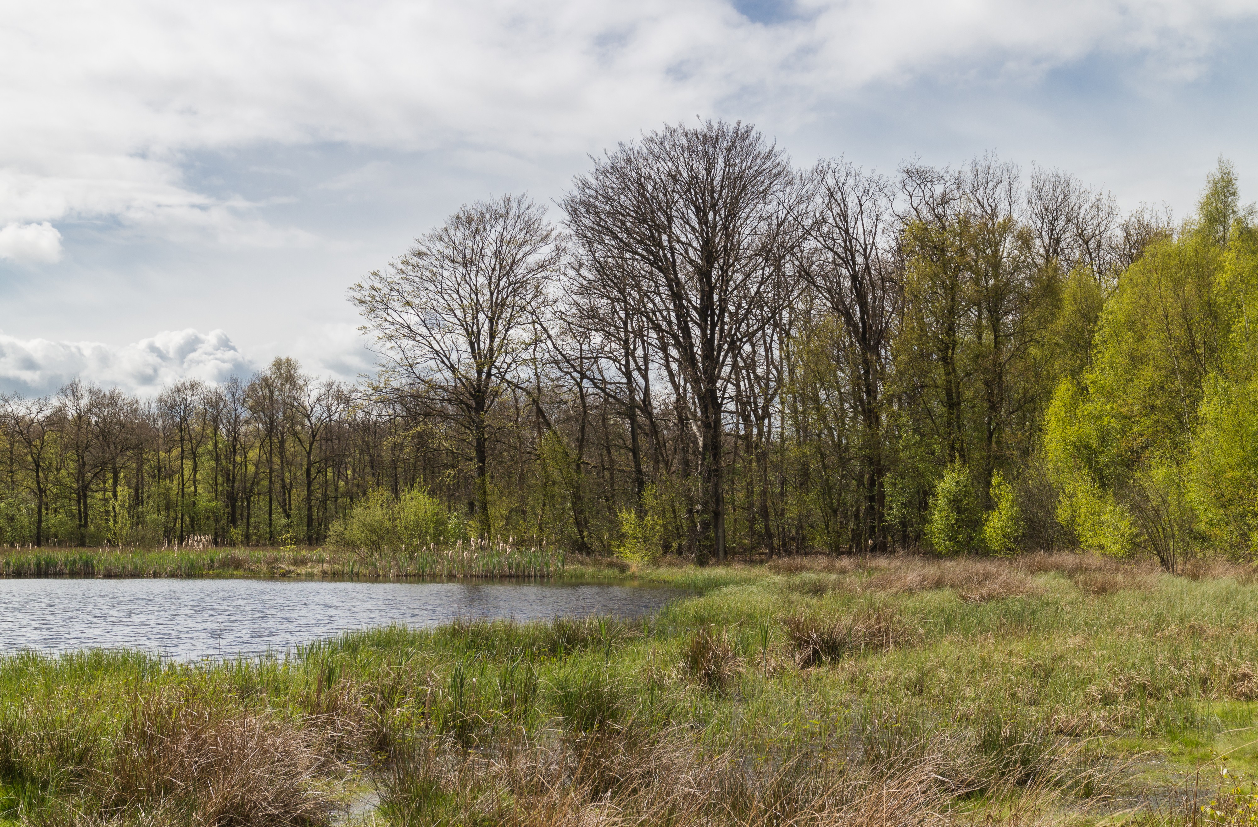 Wijnjeterper Schar, Natura 2000-gebied provincie Friesland 12