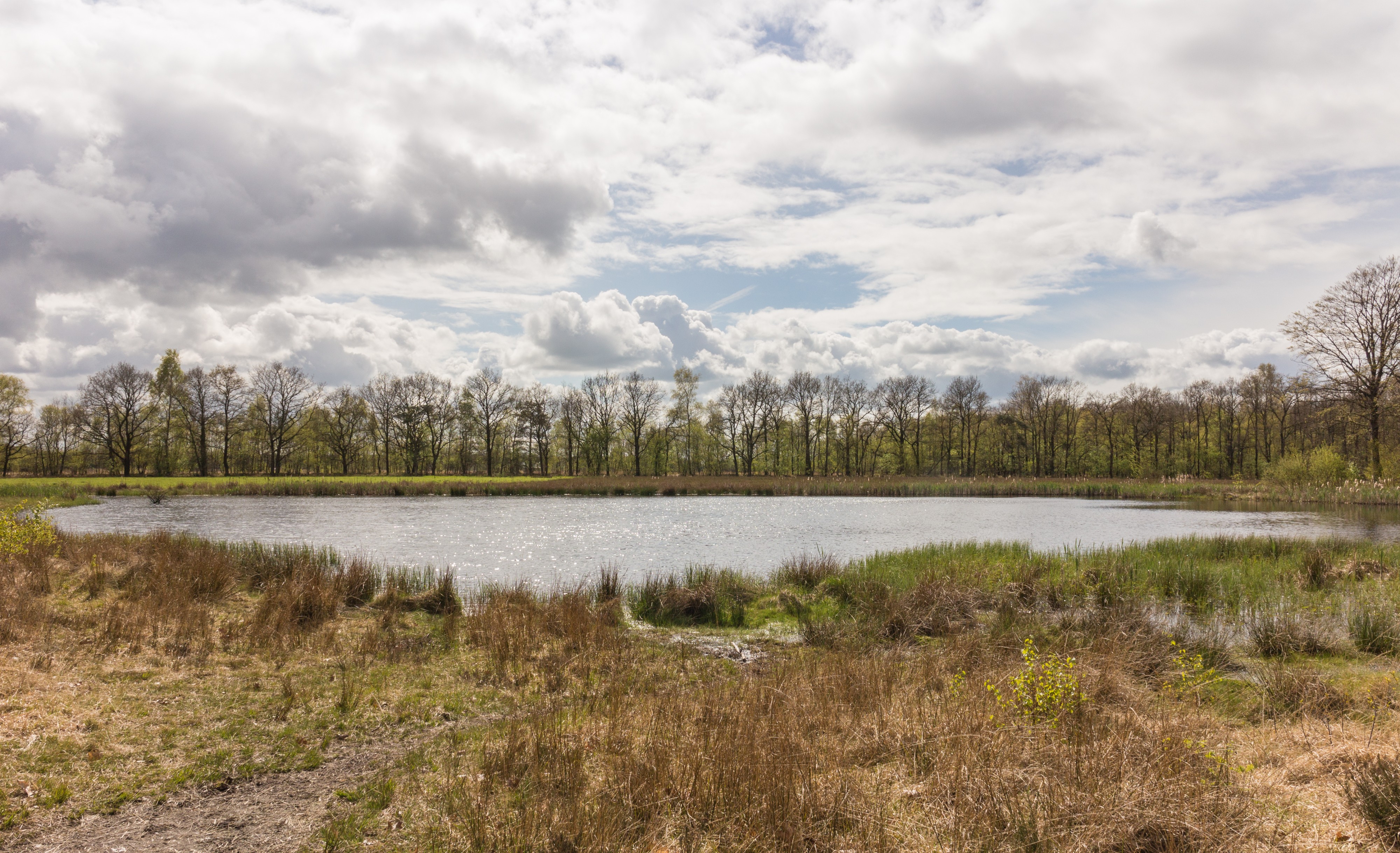 Wijnjeterper Schar, Natura 2000-gebied provincie Friesland 15