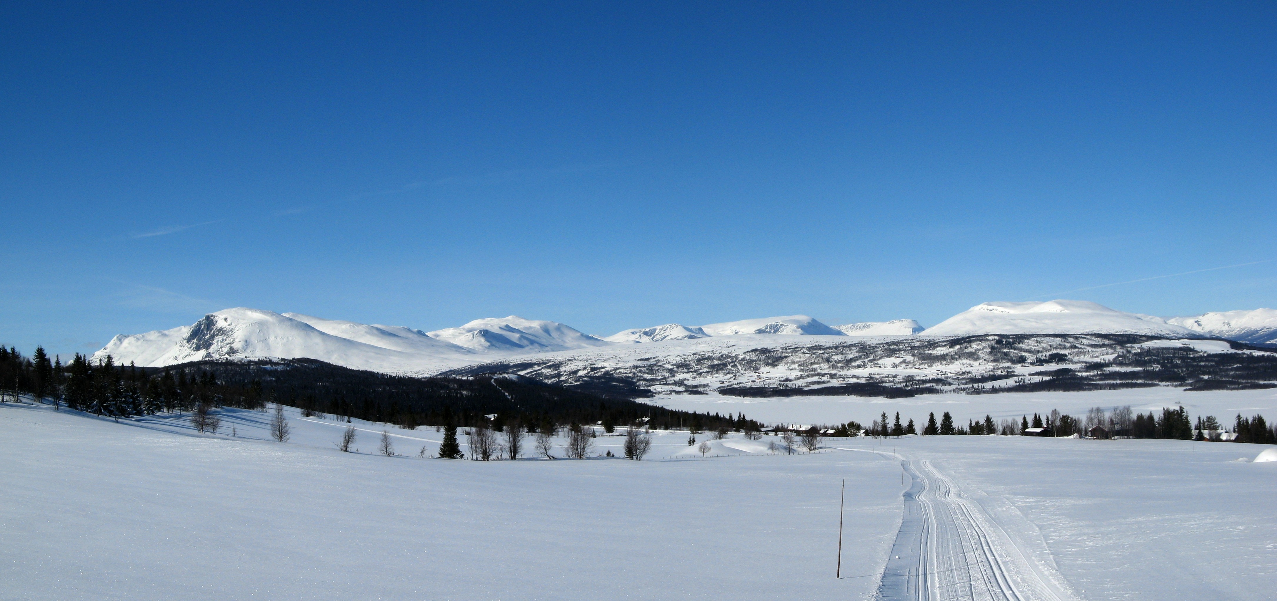 Tisleifjorden