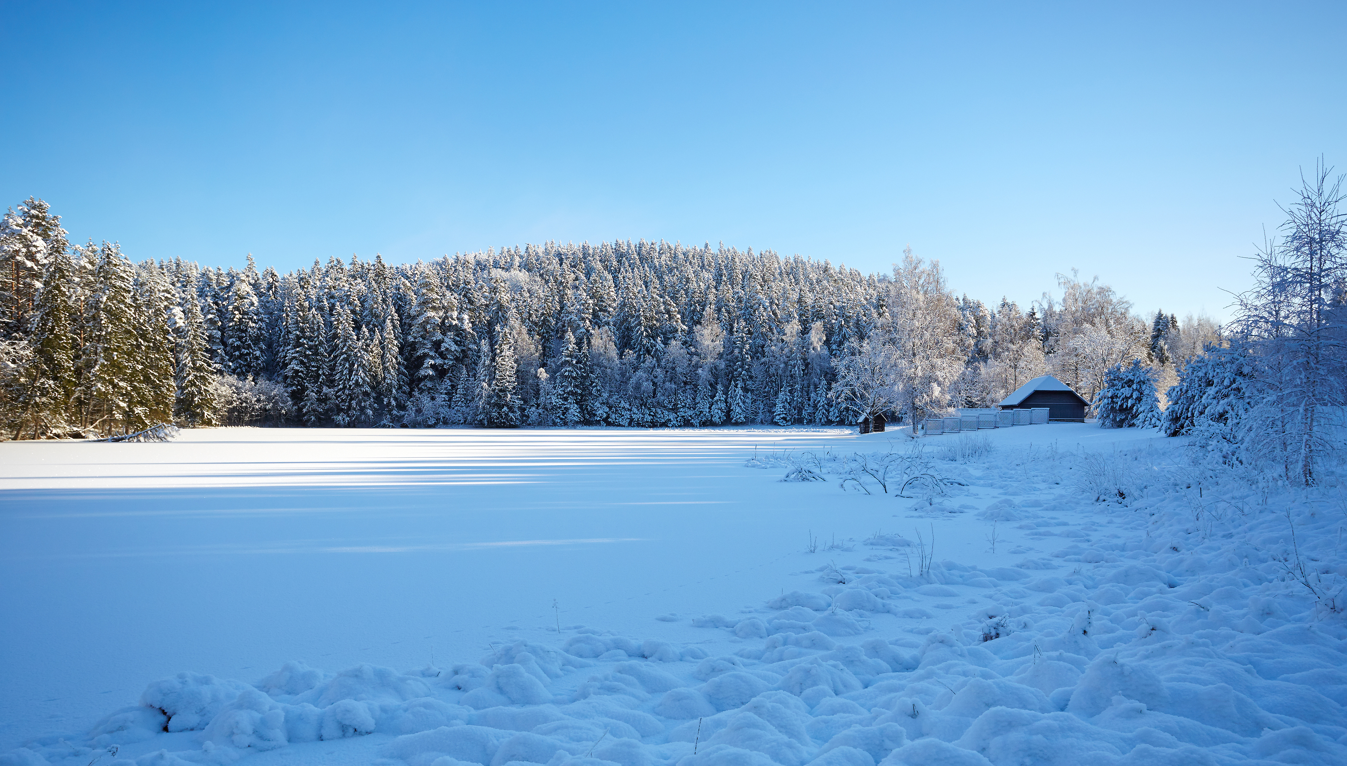 Vällamägi 2014 01