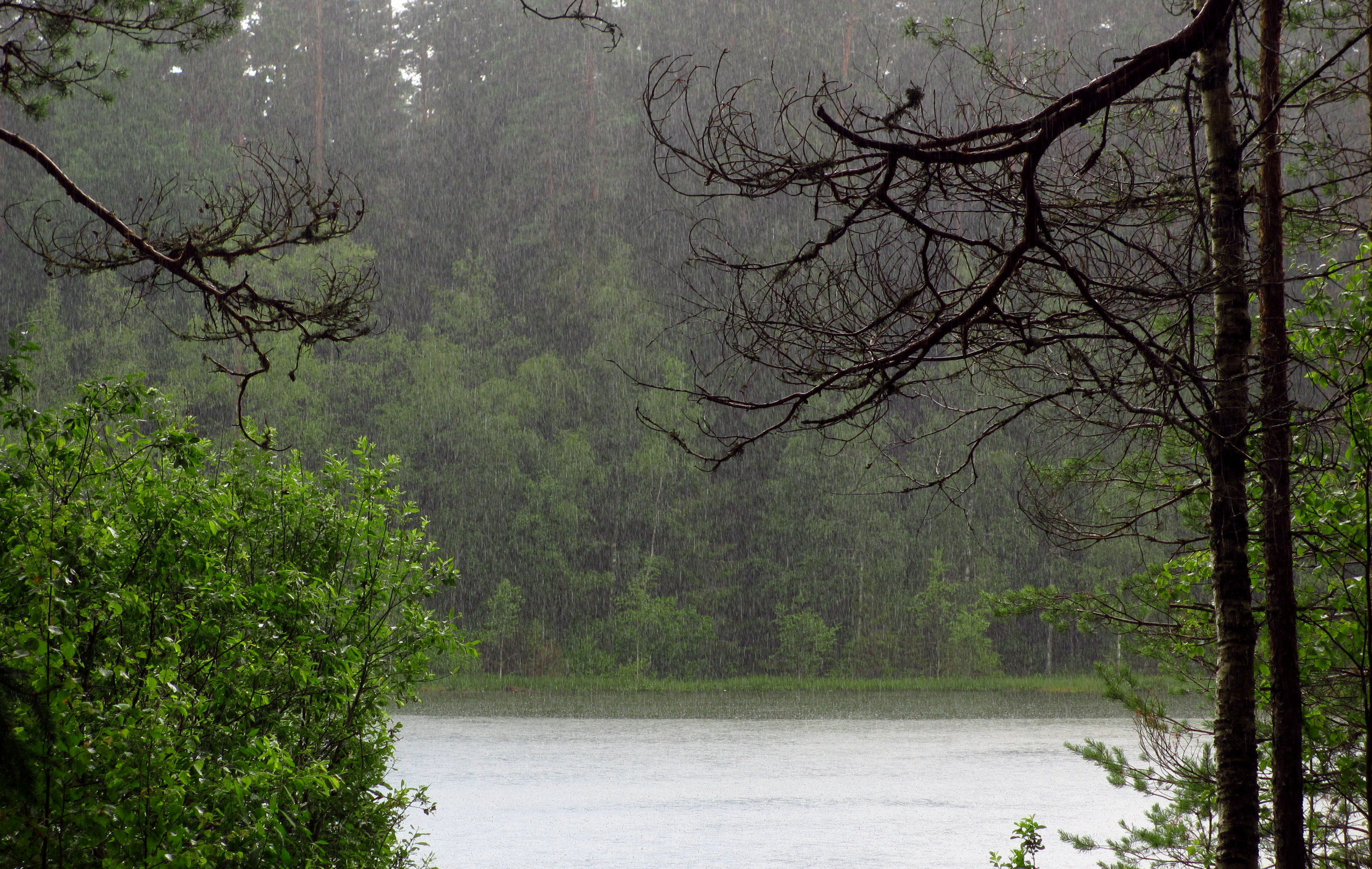 Vaikne järv Elva-Vitipalu MKA
