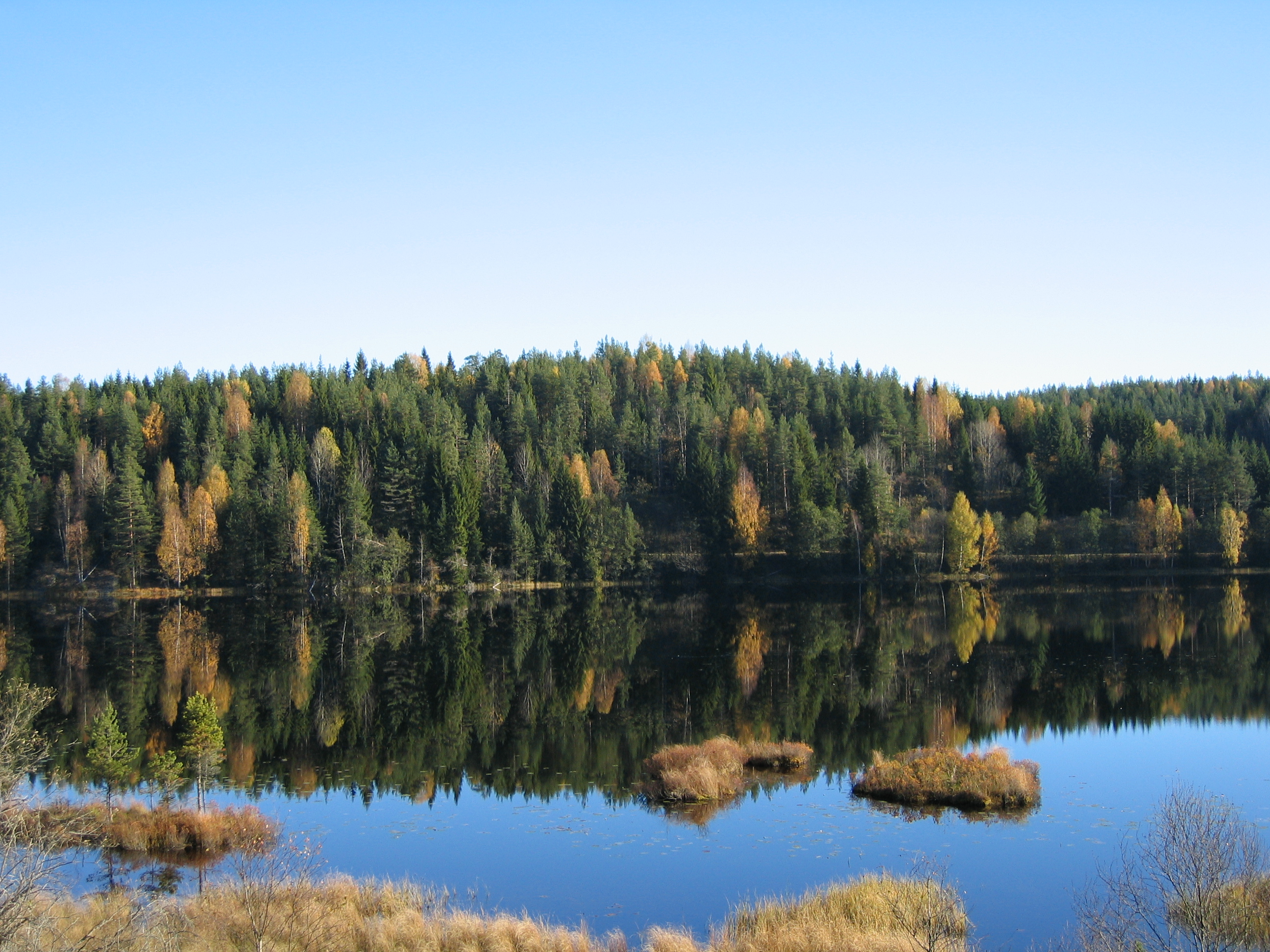 Vinlandtjern v2