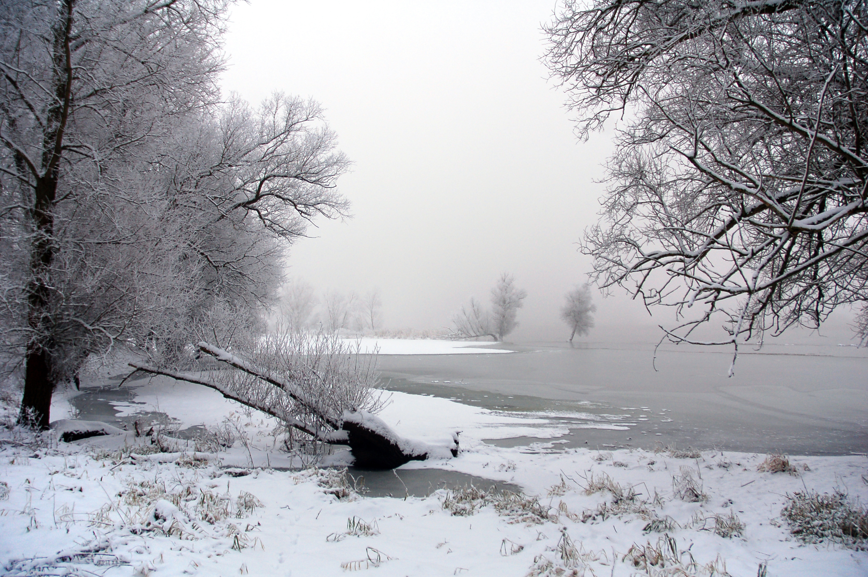 2010-01-03-schnee-im-nebel-by-RalfR-39