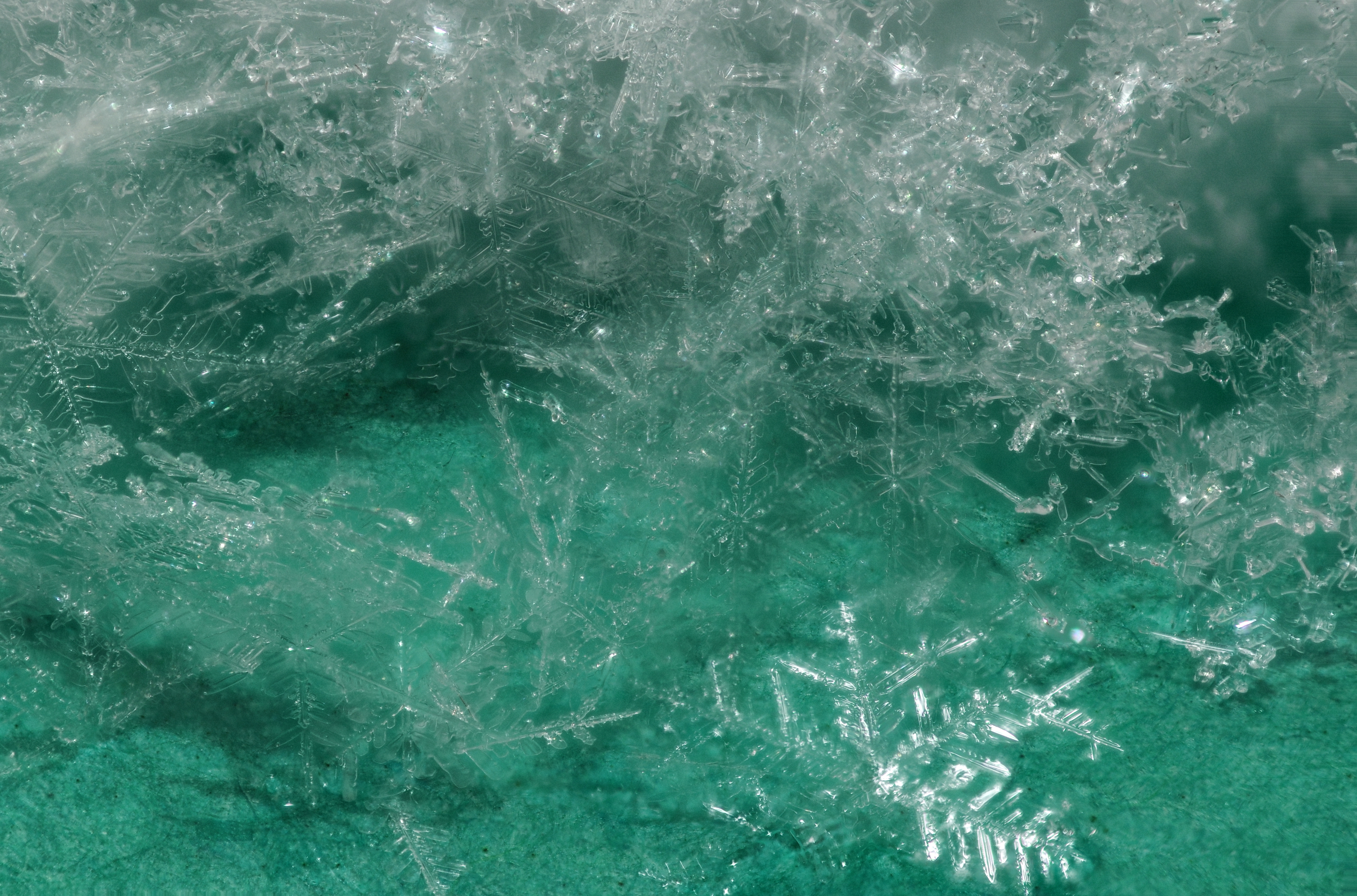 2013-01-17 12-40-43-neige-19f