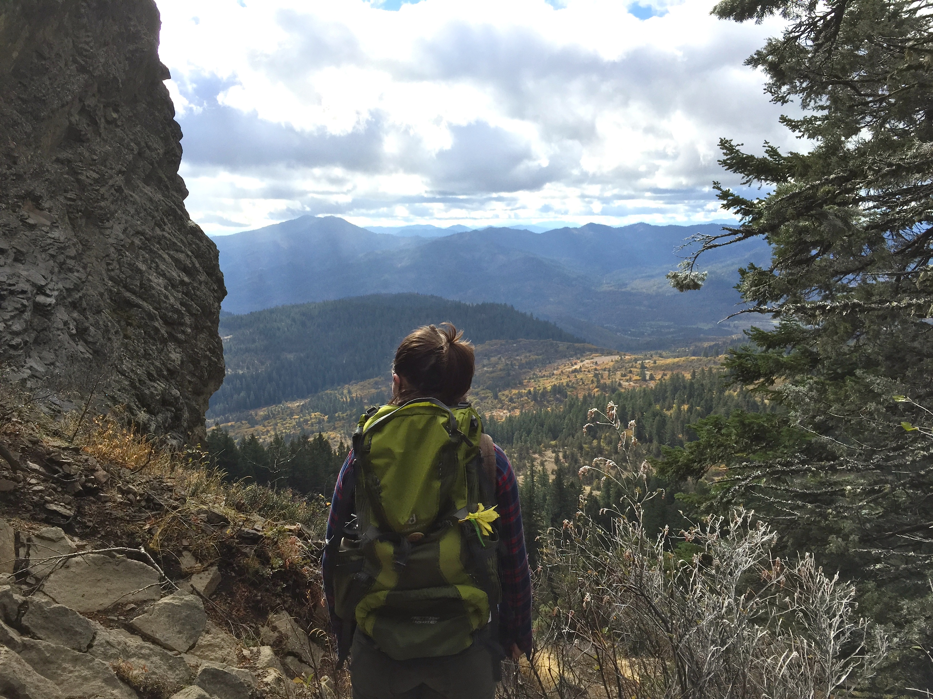 2015 Photo Contest Winners (17211308646)