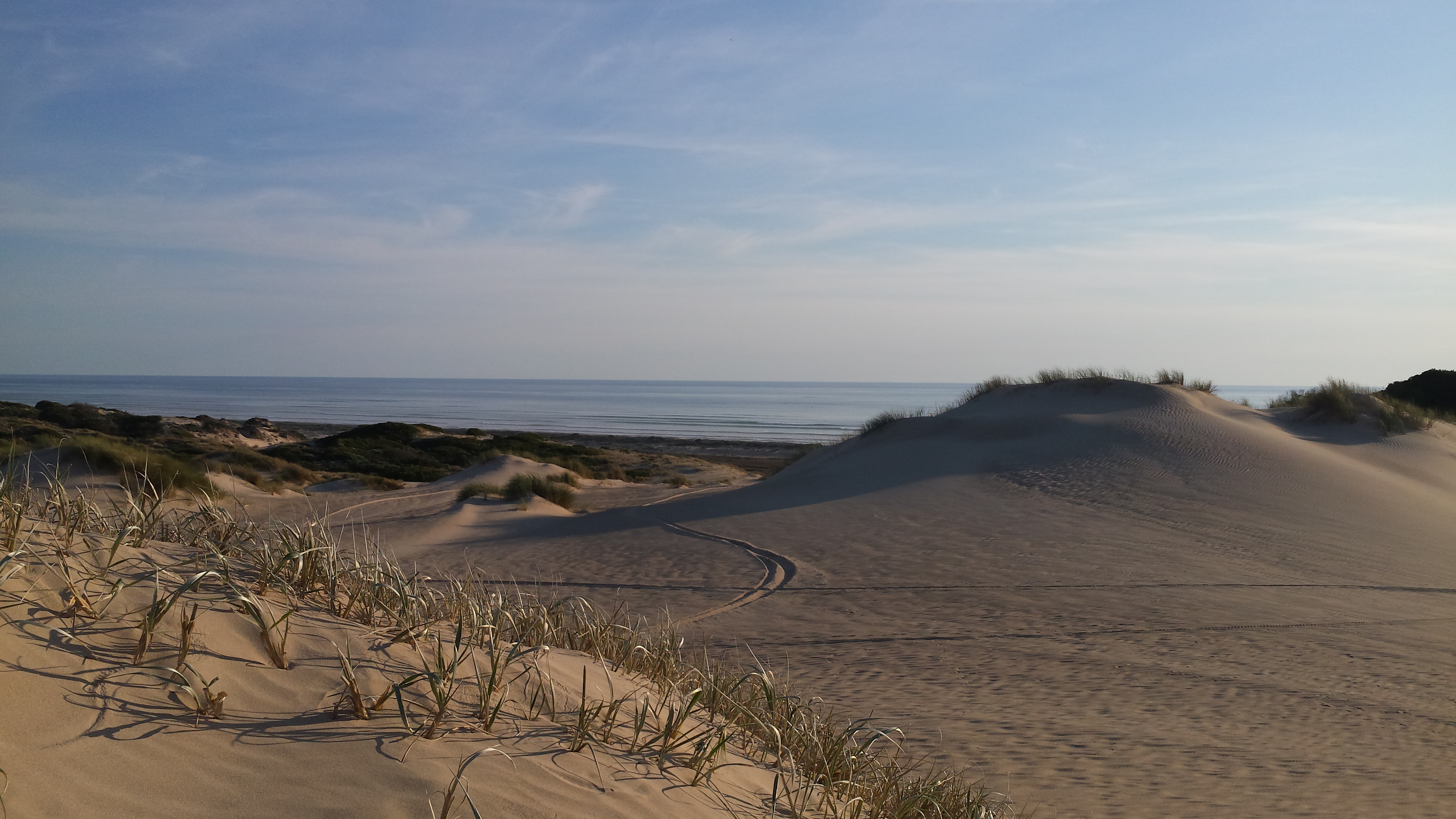28 Mile Crossing Camp Ground, Coorong National Park 04