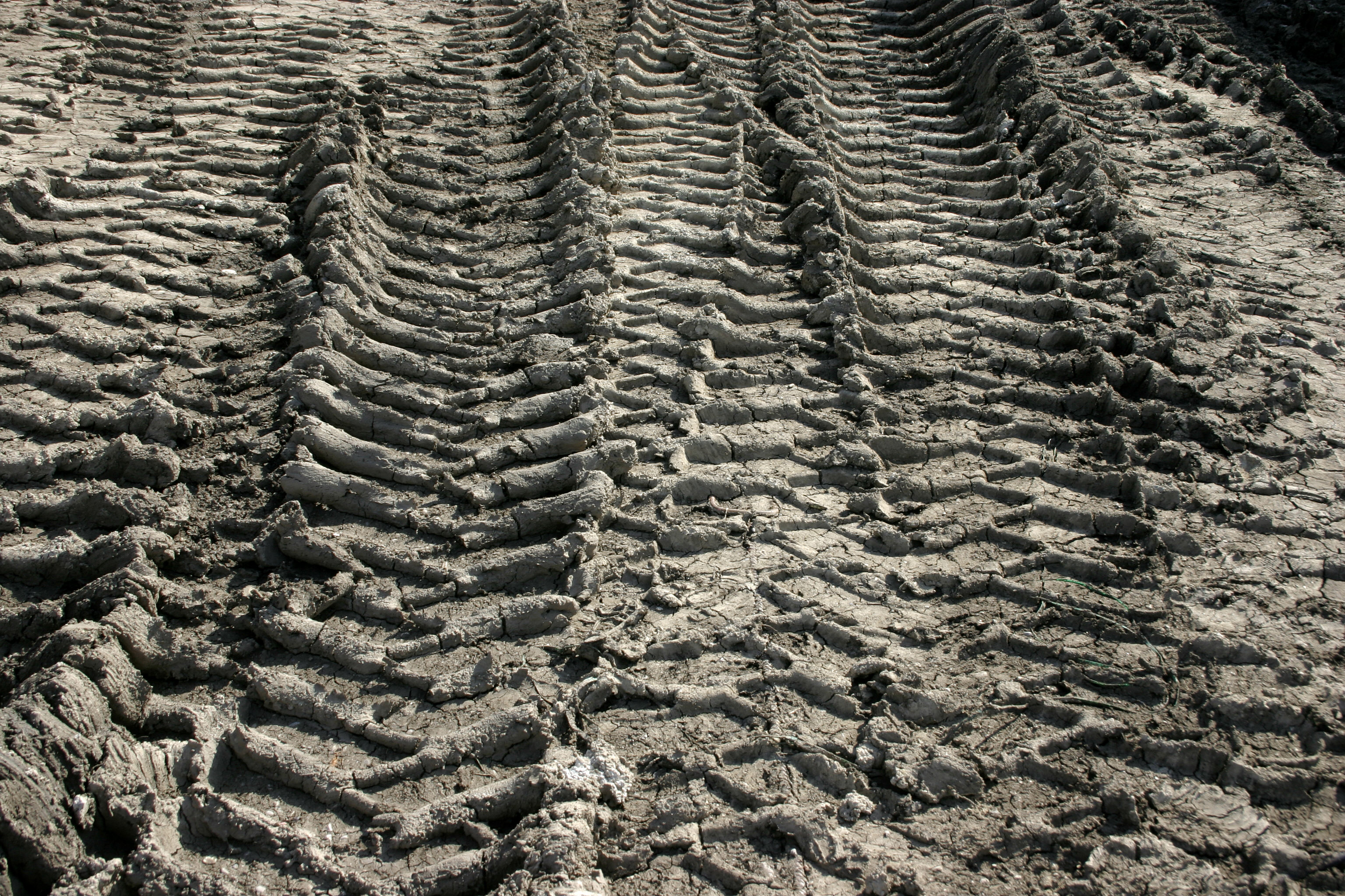 - Tire traces -