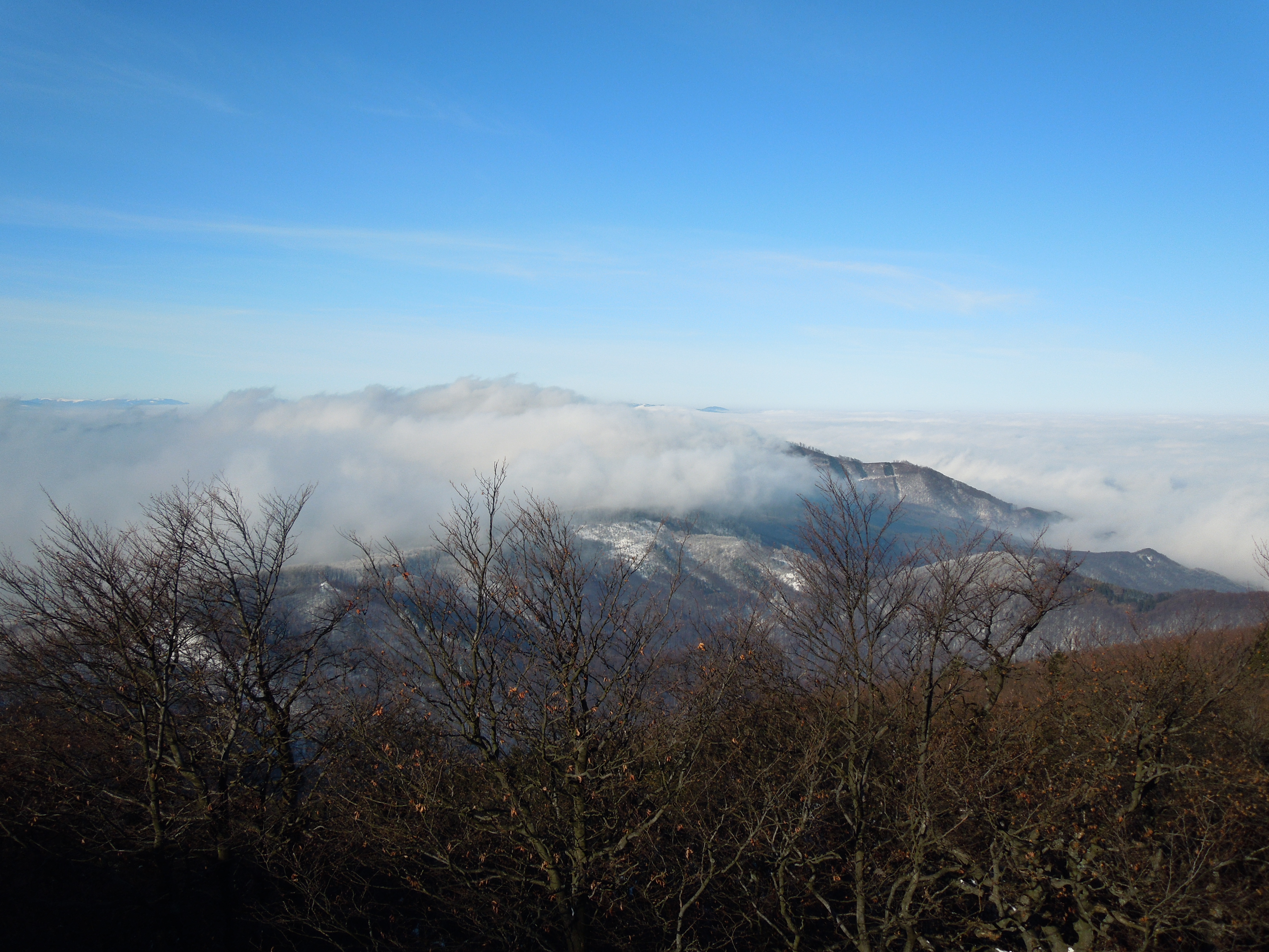 Šimonka 022